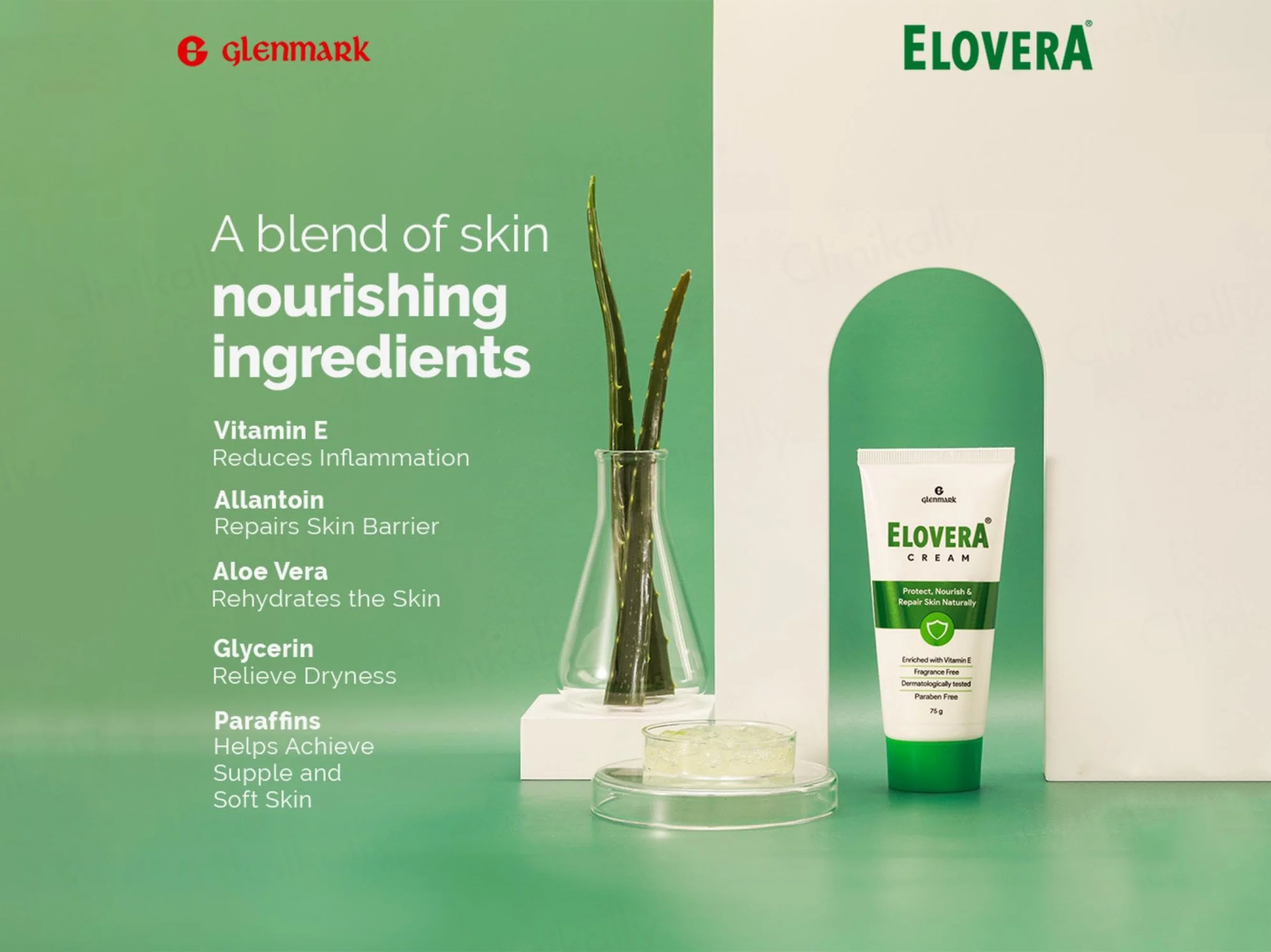Elovera Cream - Image 5
