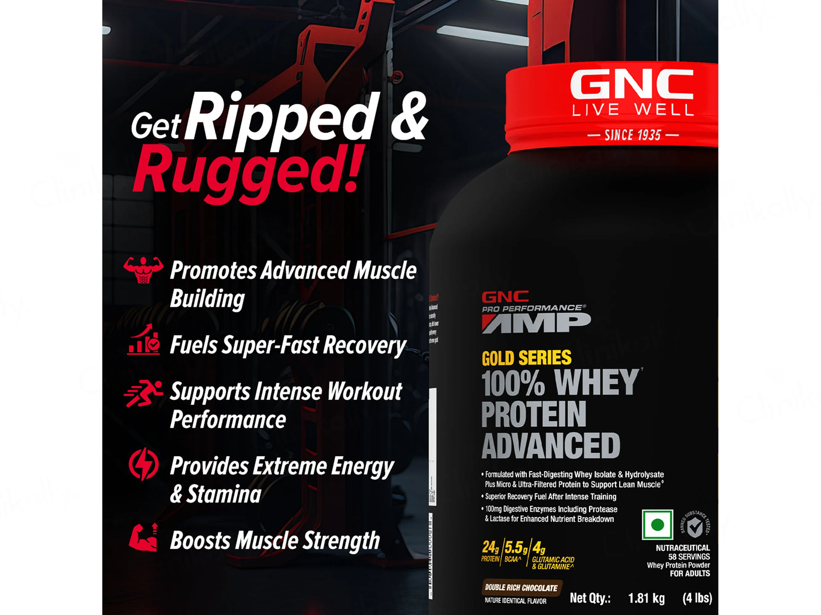 GNC Pro Performance AMP Gold 100% Whey Protein Advanced Powder - Double Rich Chocolate Flavour - Image 2