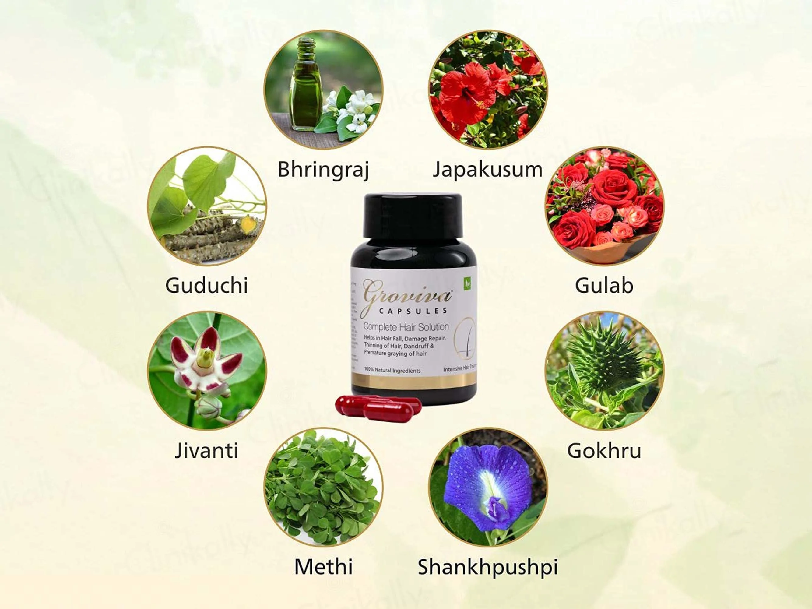 Groviva Complete Hair Solution Capsule - Image 5
