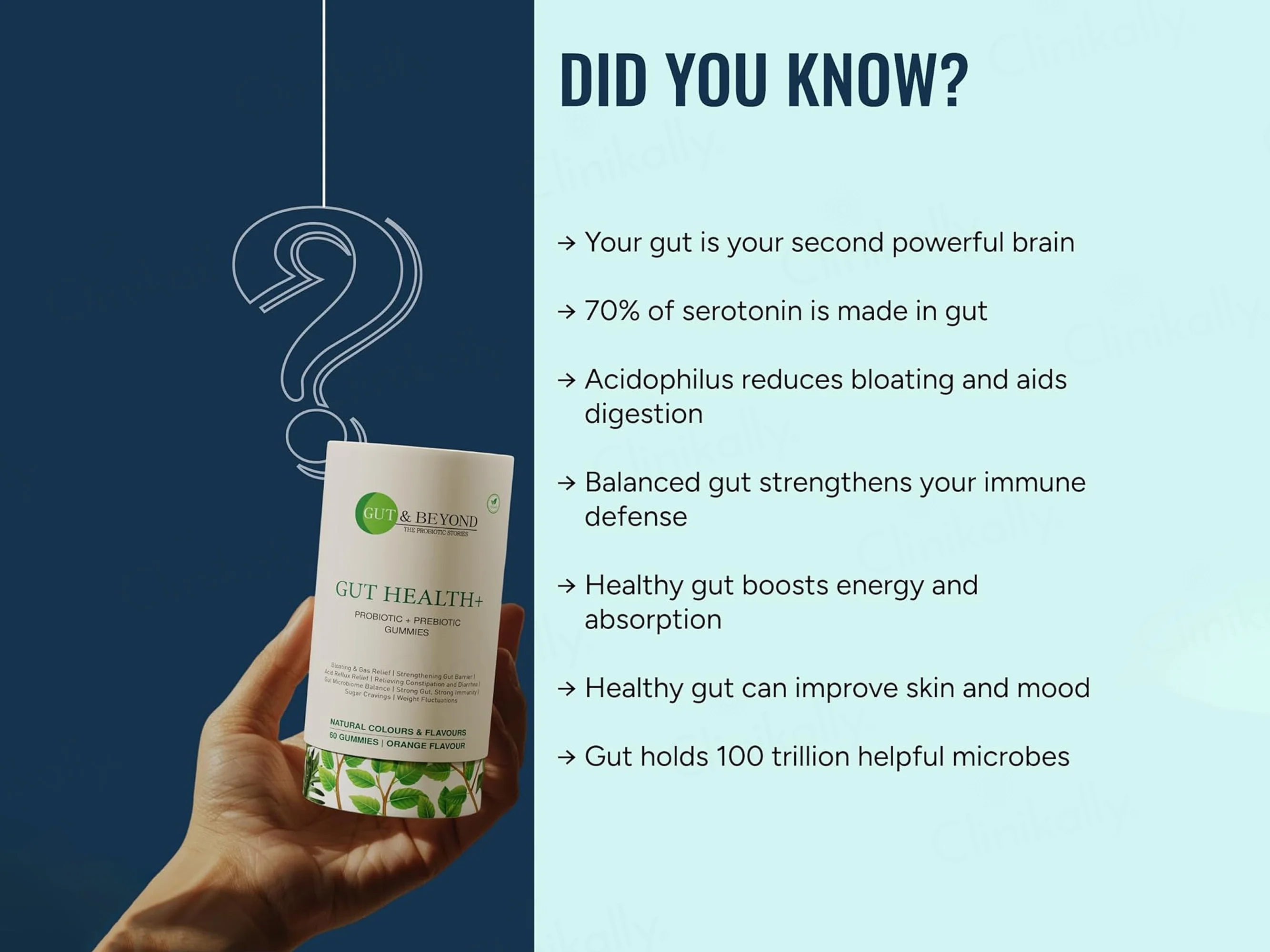 Gut & Beyond Gut Health+ Probiotic + Prebiotic Gummies - Orange Flavour - Image 7
