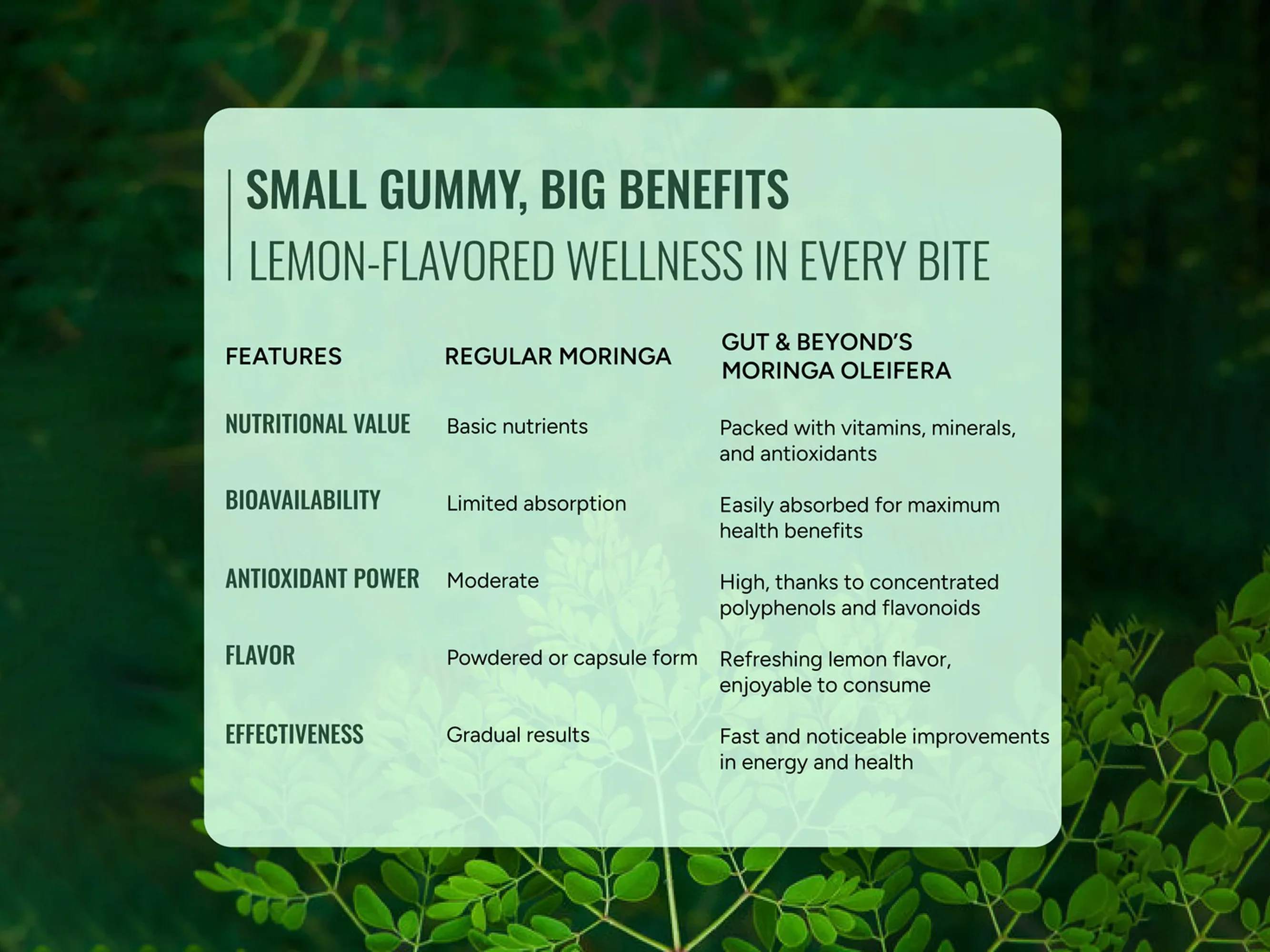 Gut & Beyond Moringa Gummies - Lemon Flavour - Image 3