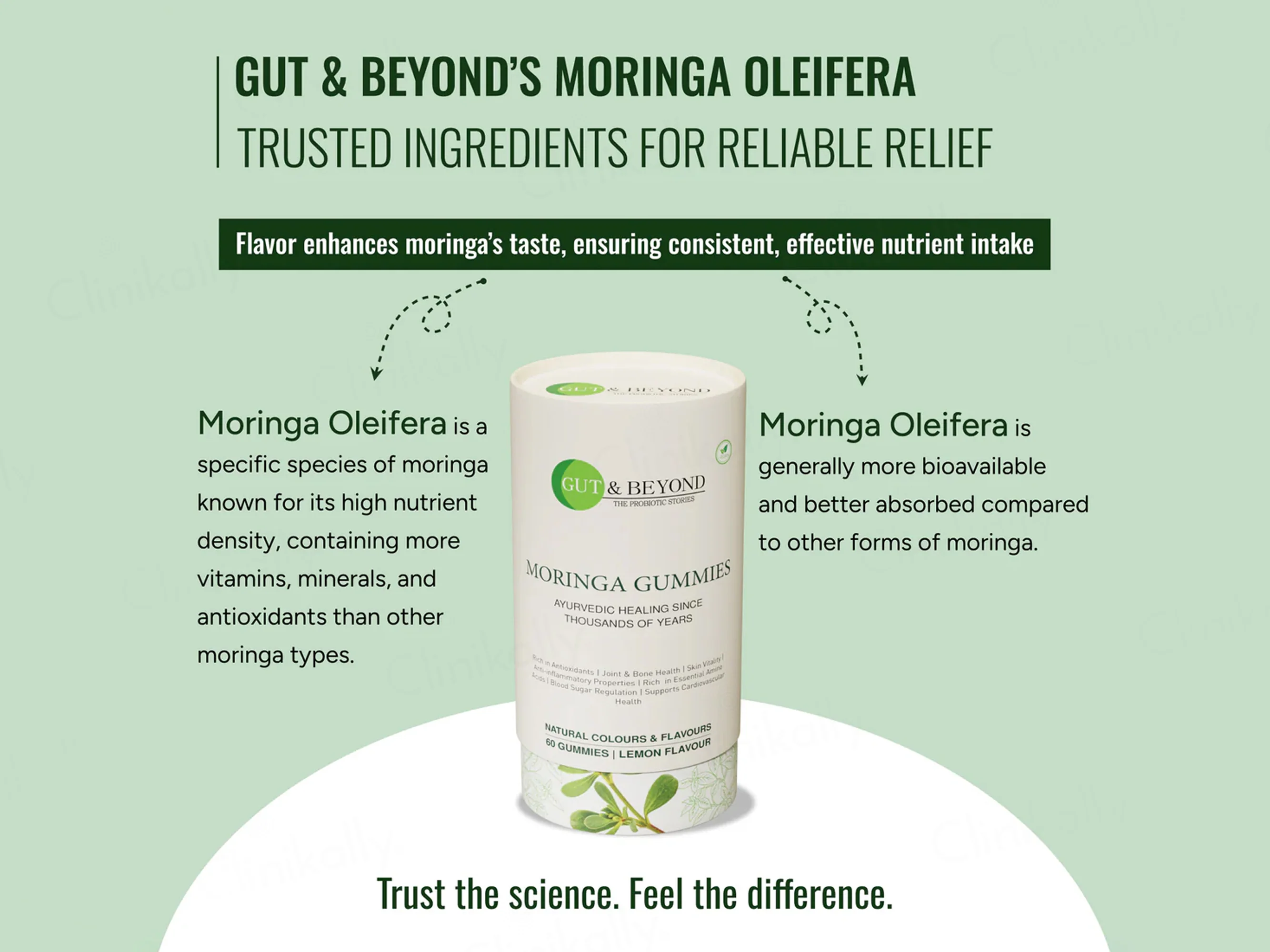 Gut & Beyond Moringa Gummies - Lemon Flavour - Image 5
