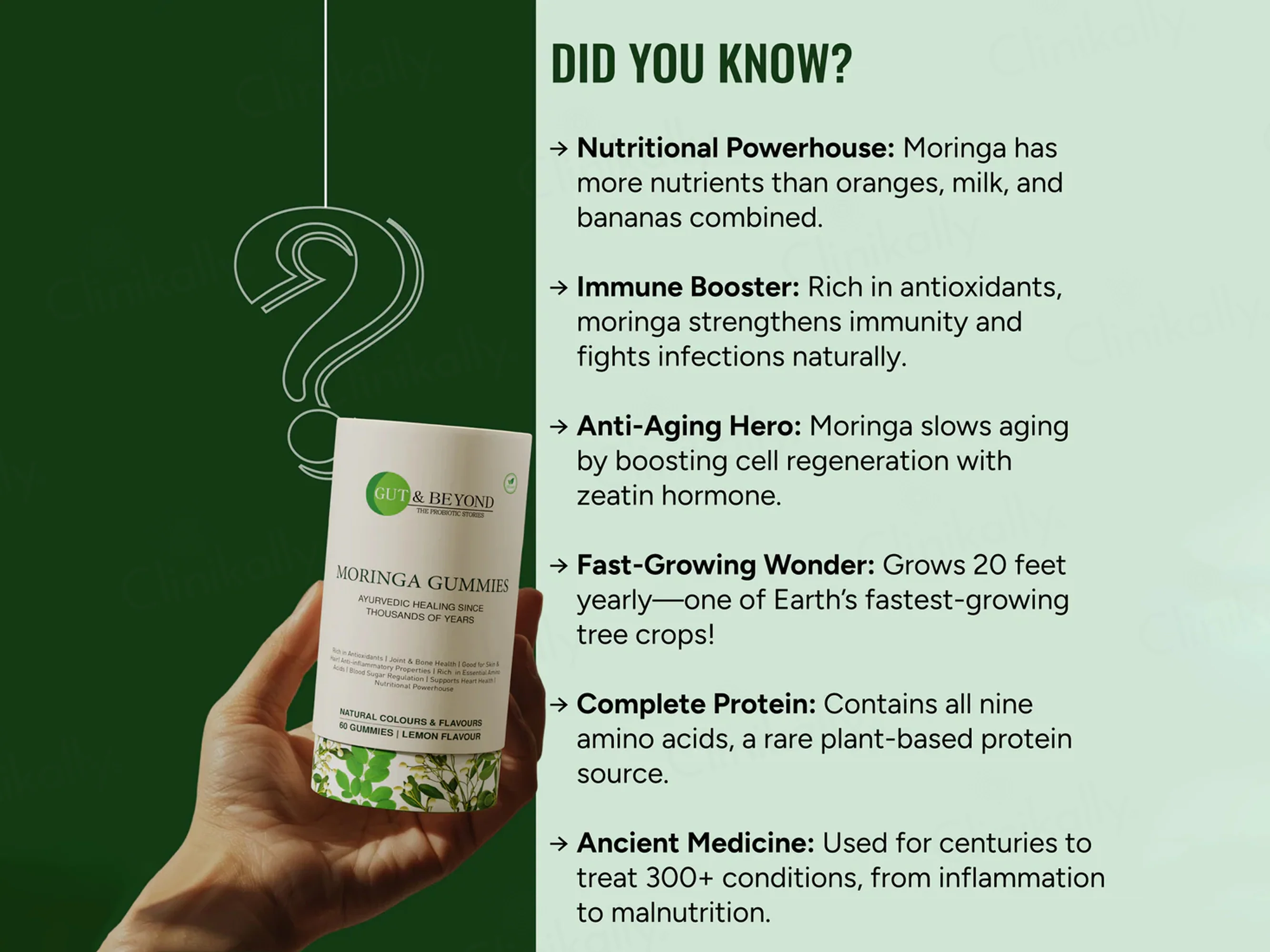 Gut & Beyond Moringa Gummies - Lemon Flavour - Image 6