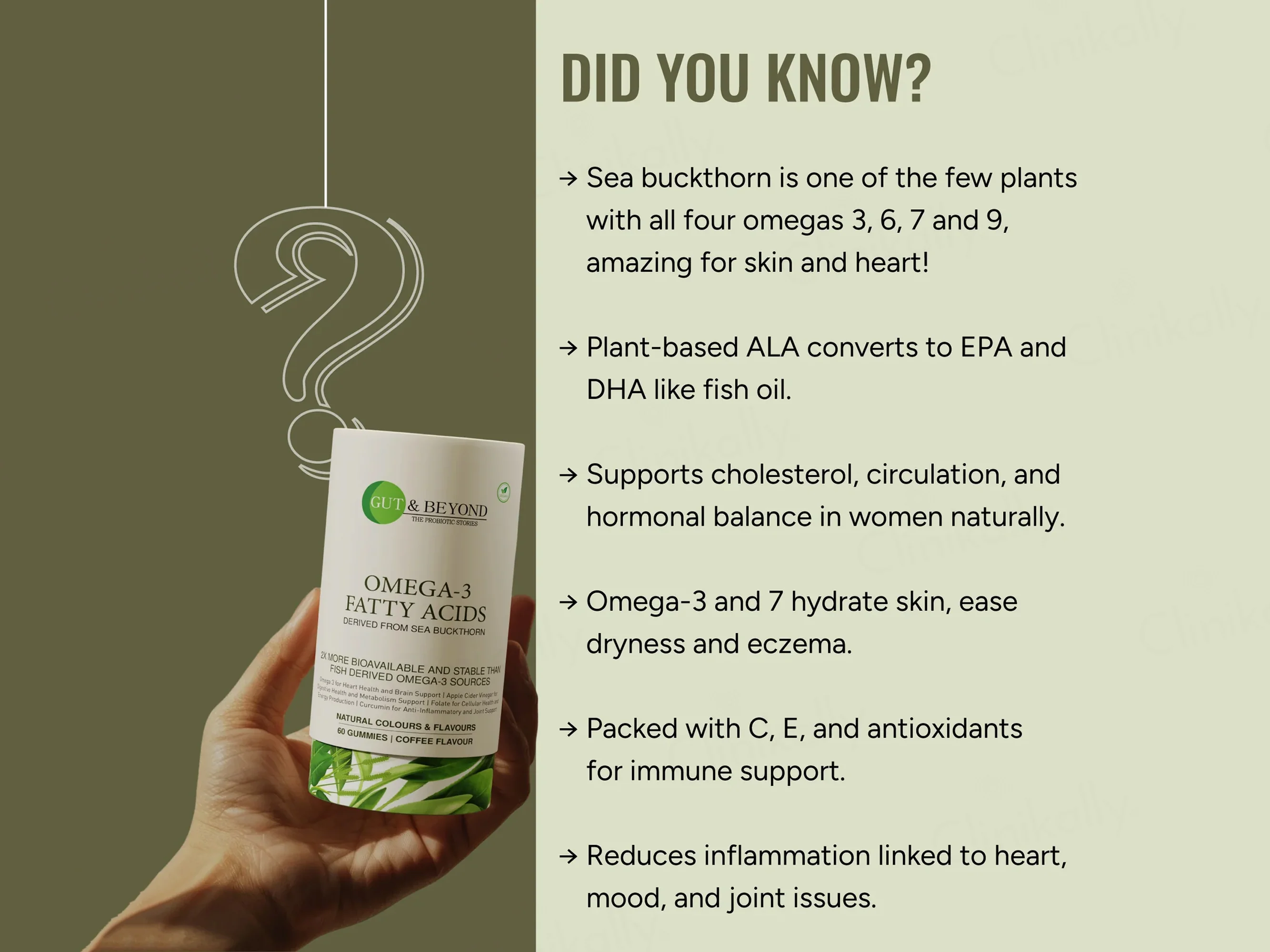 Gut & Beyond Omega-3 Fatty Acids Gummies - Coffee Flavour - Image 4