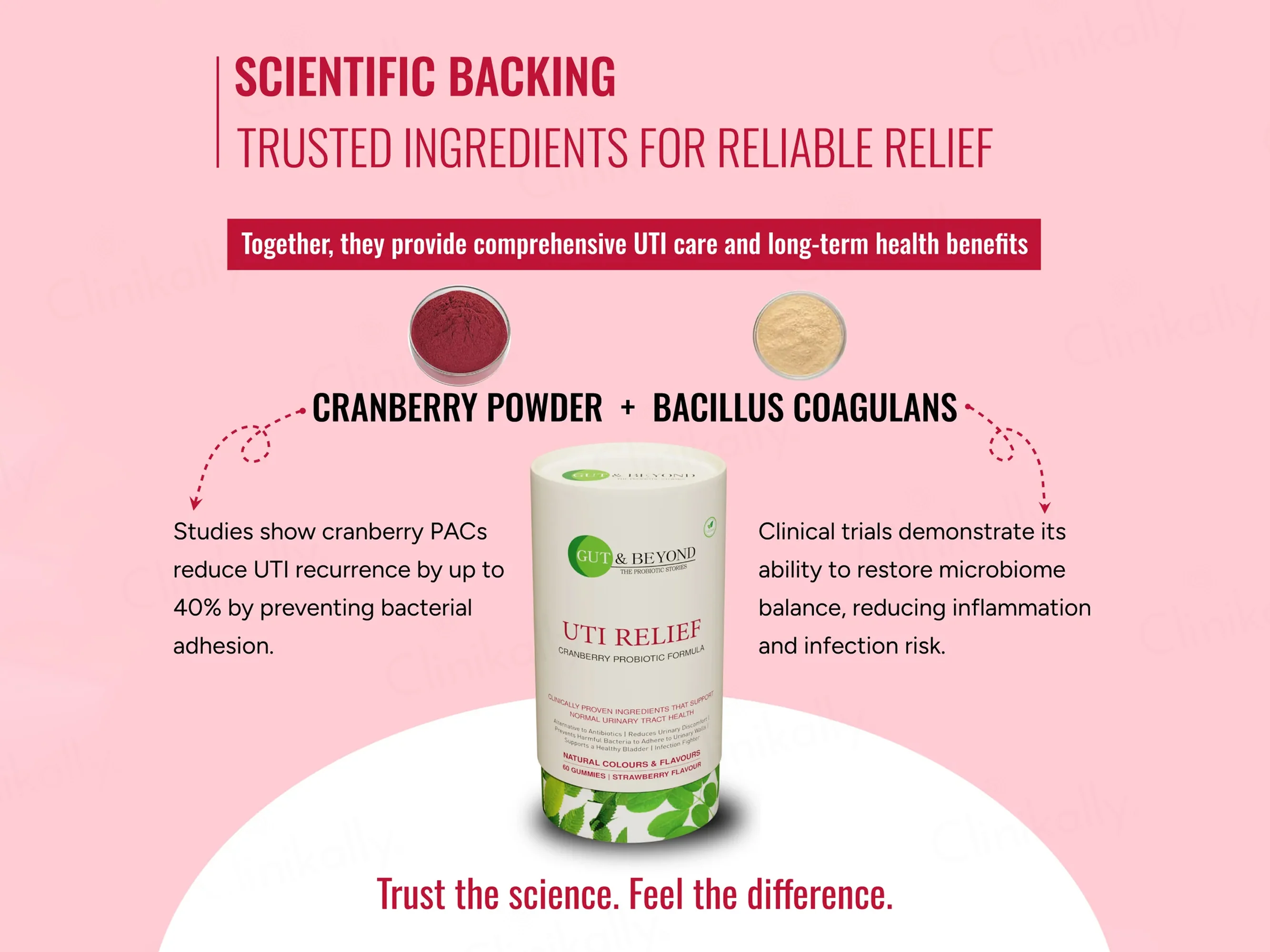 Gut & Beyond UTI Relief Gummies - Strawberry Flavour - Image 6