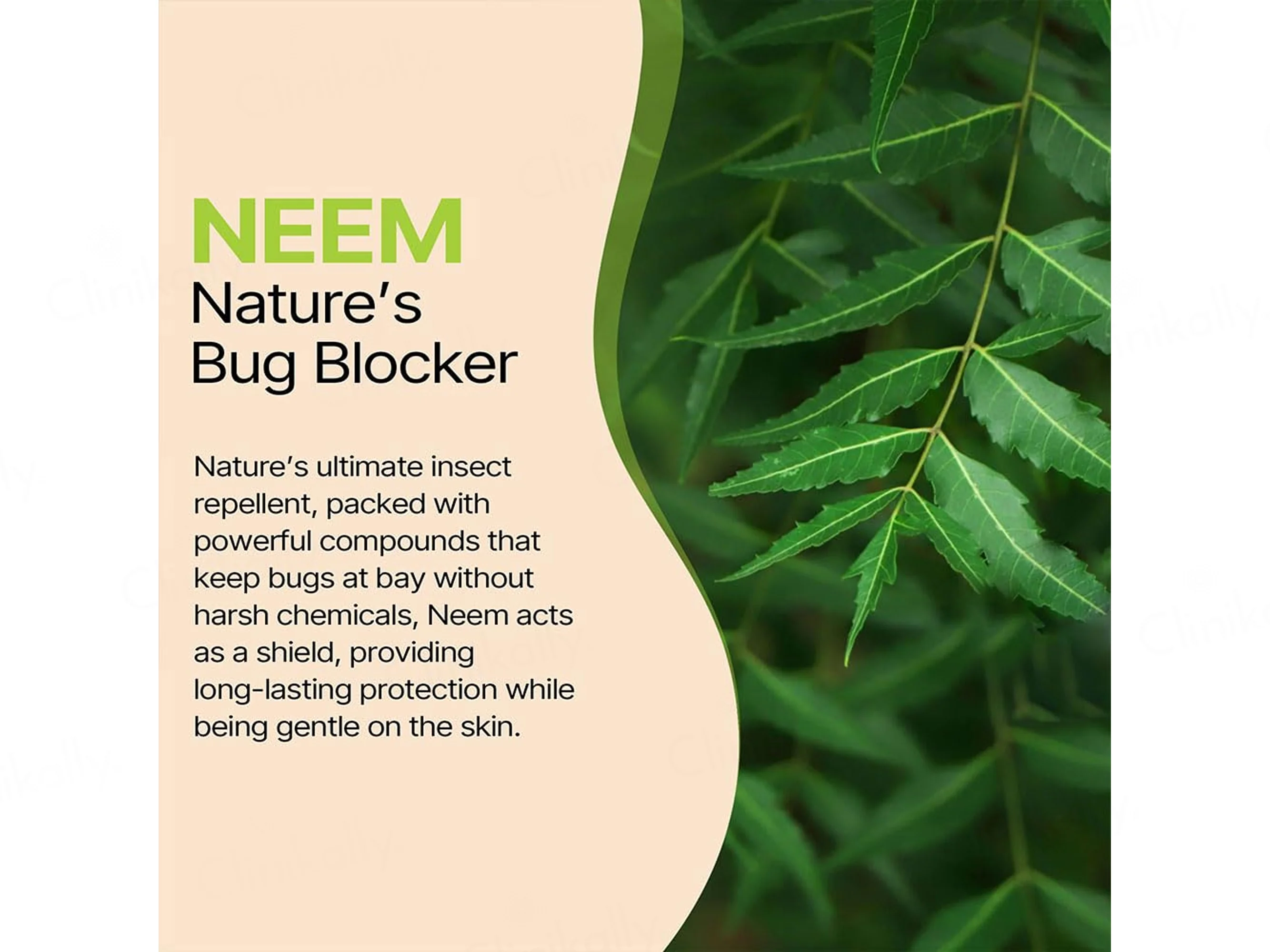 Herby Angel Baby Insect Repellent Cream - Image 3
