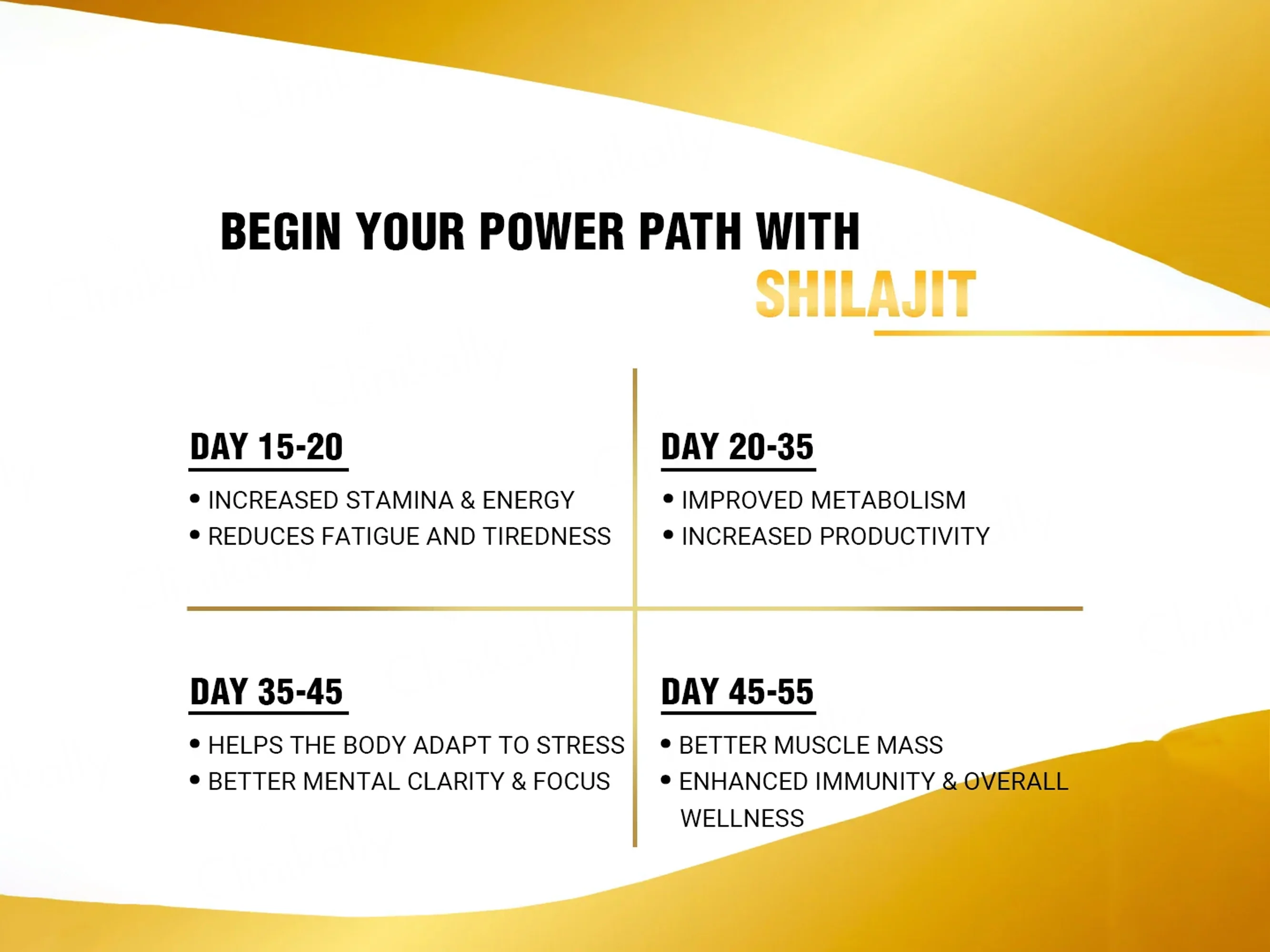 iMeMyself Gold Standard Shilajit Dietary Supplement Resin - Image 4