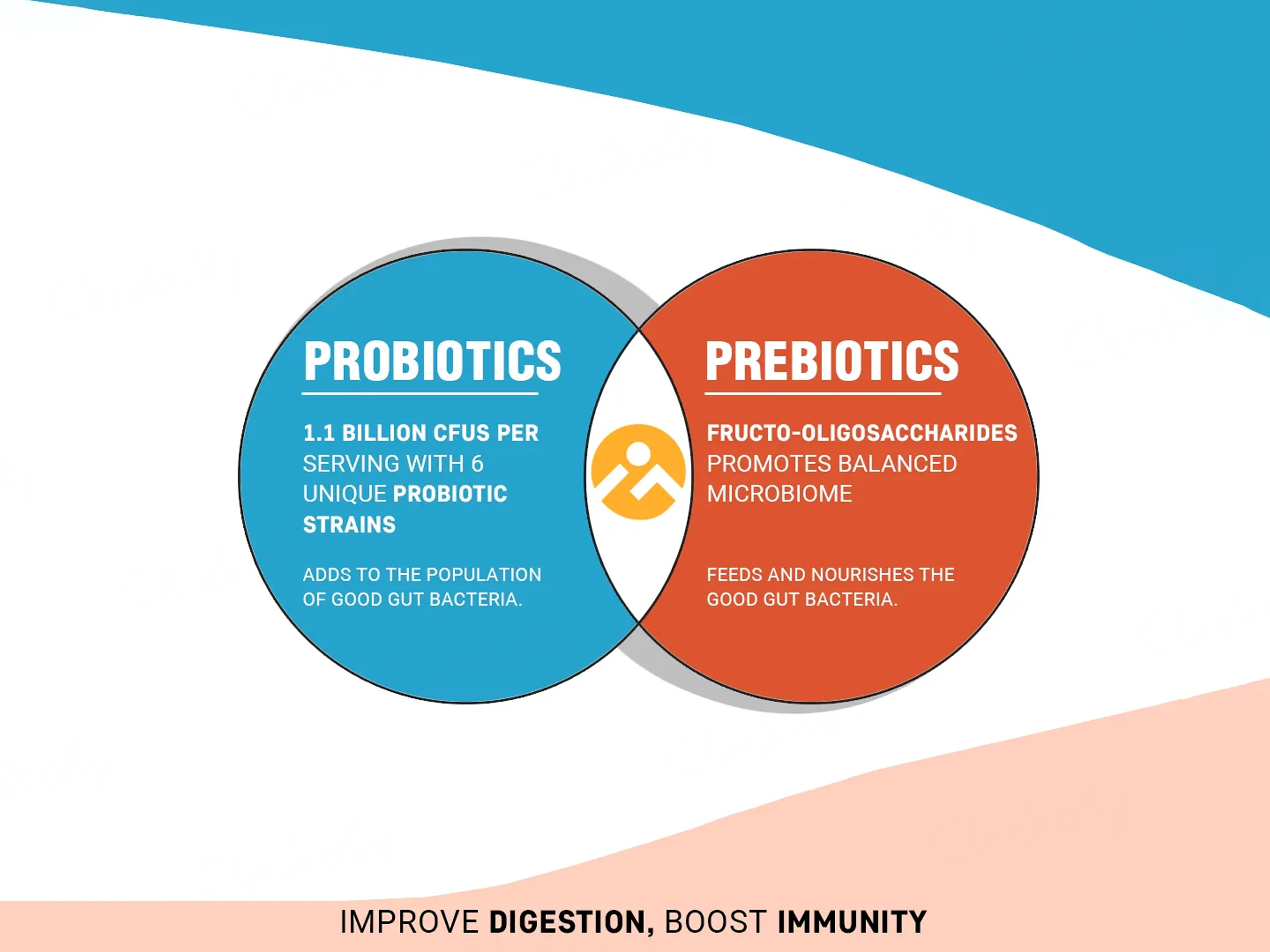 iMeMyself Prebiotic + Probiotic Dietary Supplement Vegetarian Capsule - Image 3