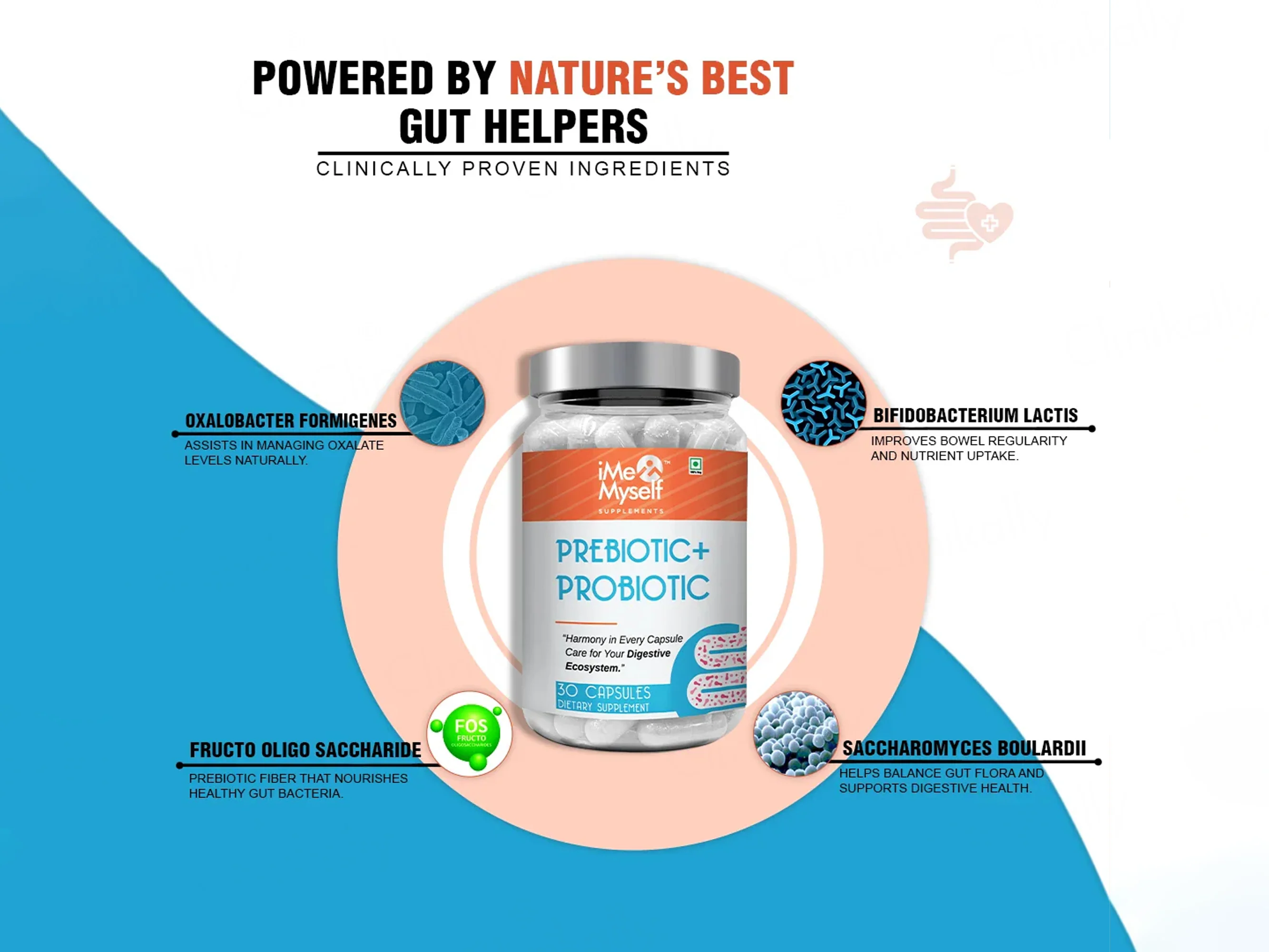 iMeMyself Prebiotic + Probiotic Dietary Supplement Vegetarian Capsule - Image 6