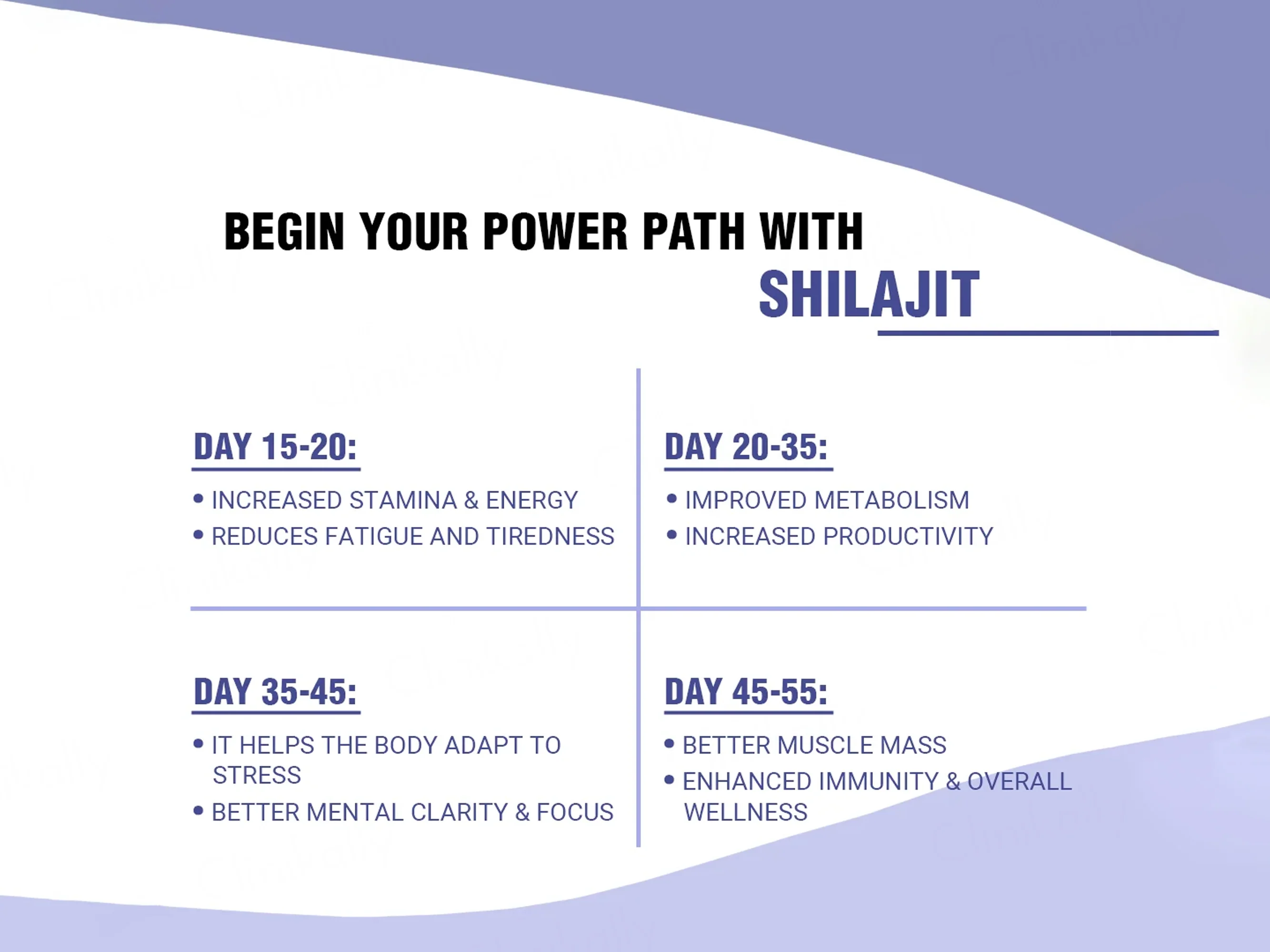 iMeMyself Shilajit Dietary Supplement Resin - Image 4