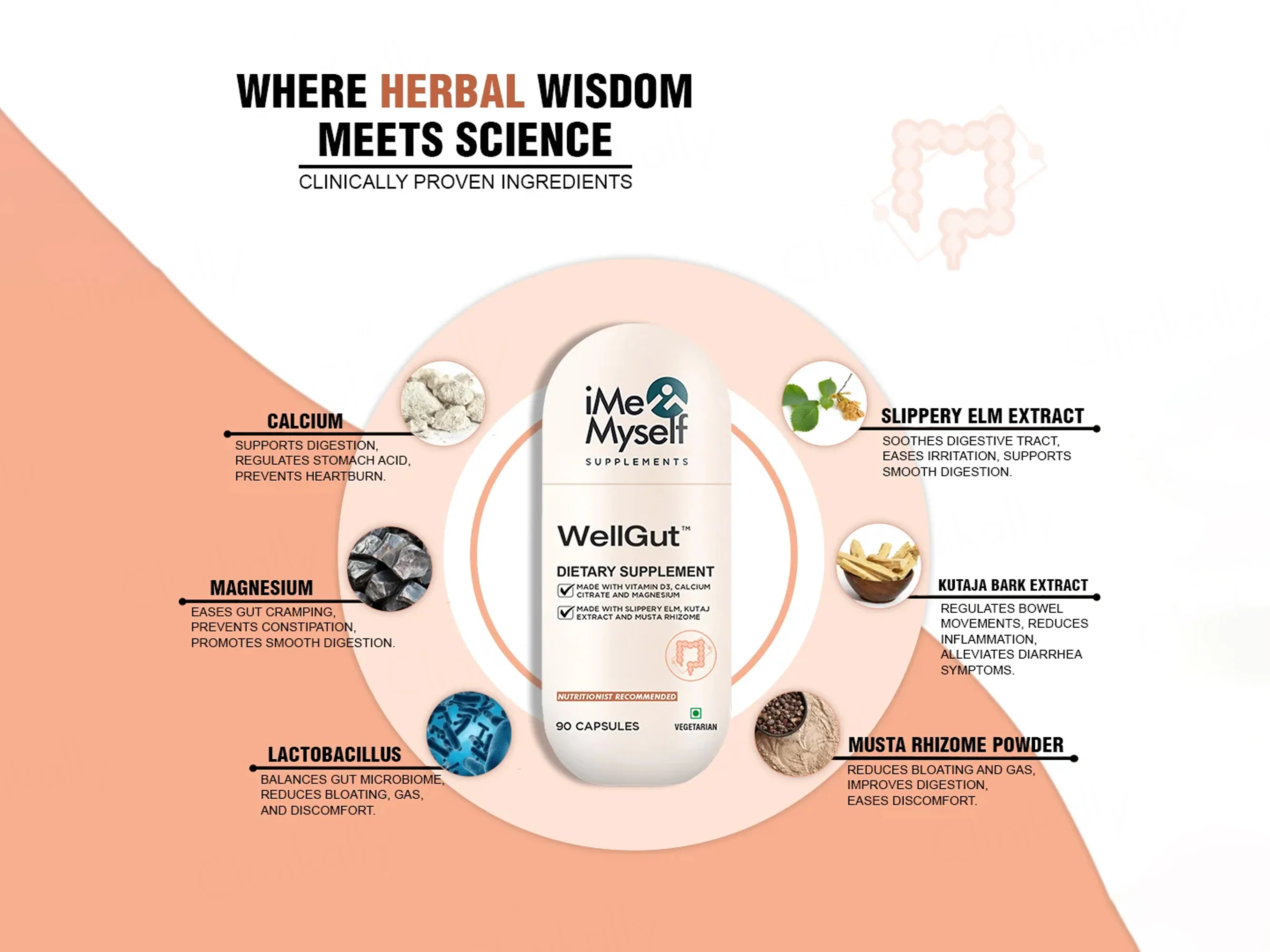 iMeMyself Well Gut Dietary Supplement Vegetarian Capsule - Image 6