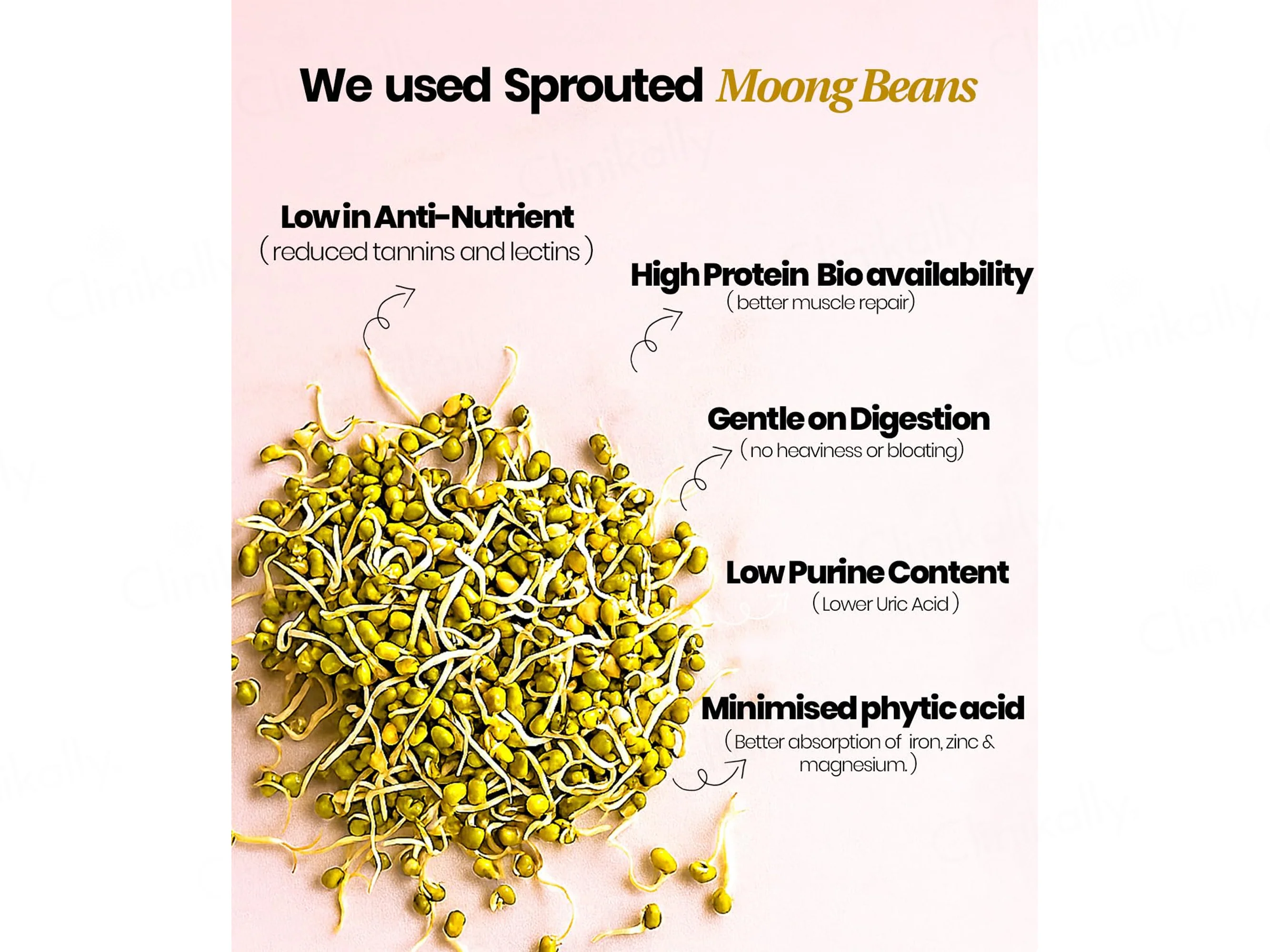 It's Moong Moong Bean & Brown Rice Plant Protein Supplement Powder - Image 12