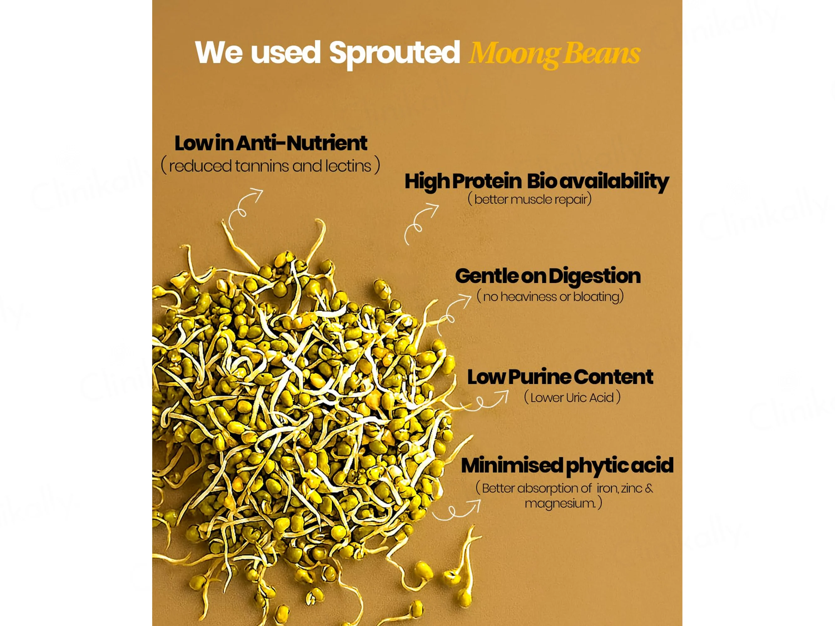 It's Moong Moong Bean & Brown Rice Plant Protein Supplement Powder - Image 20