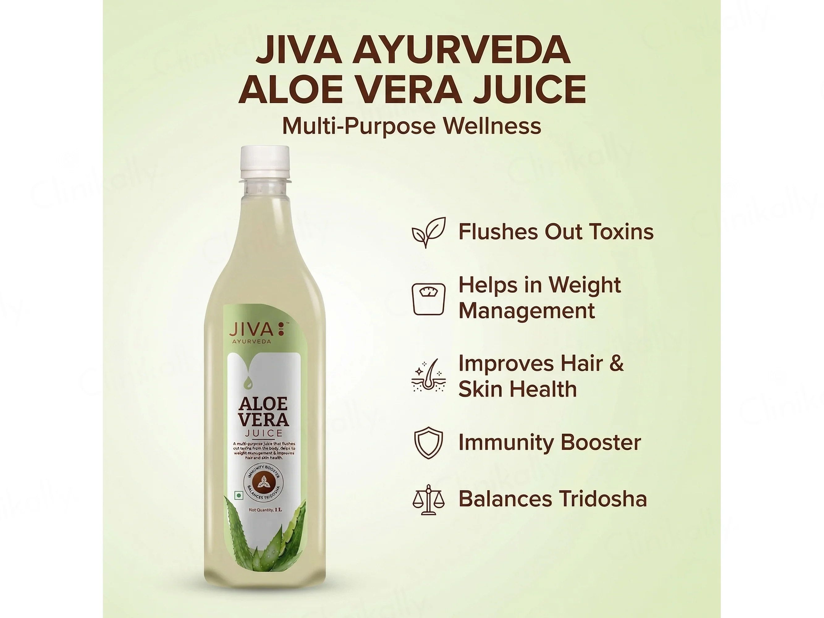 Jiva Ayurveda Aloevera Juice - Image 3
