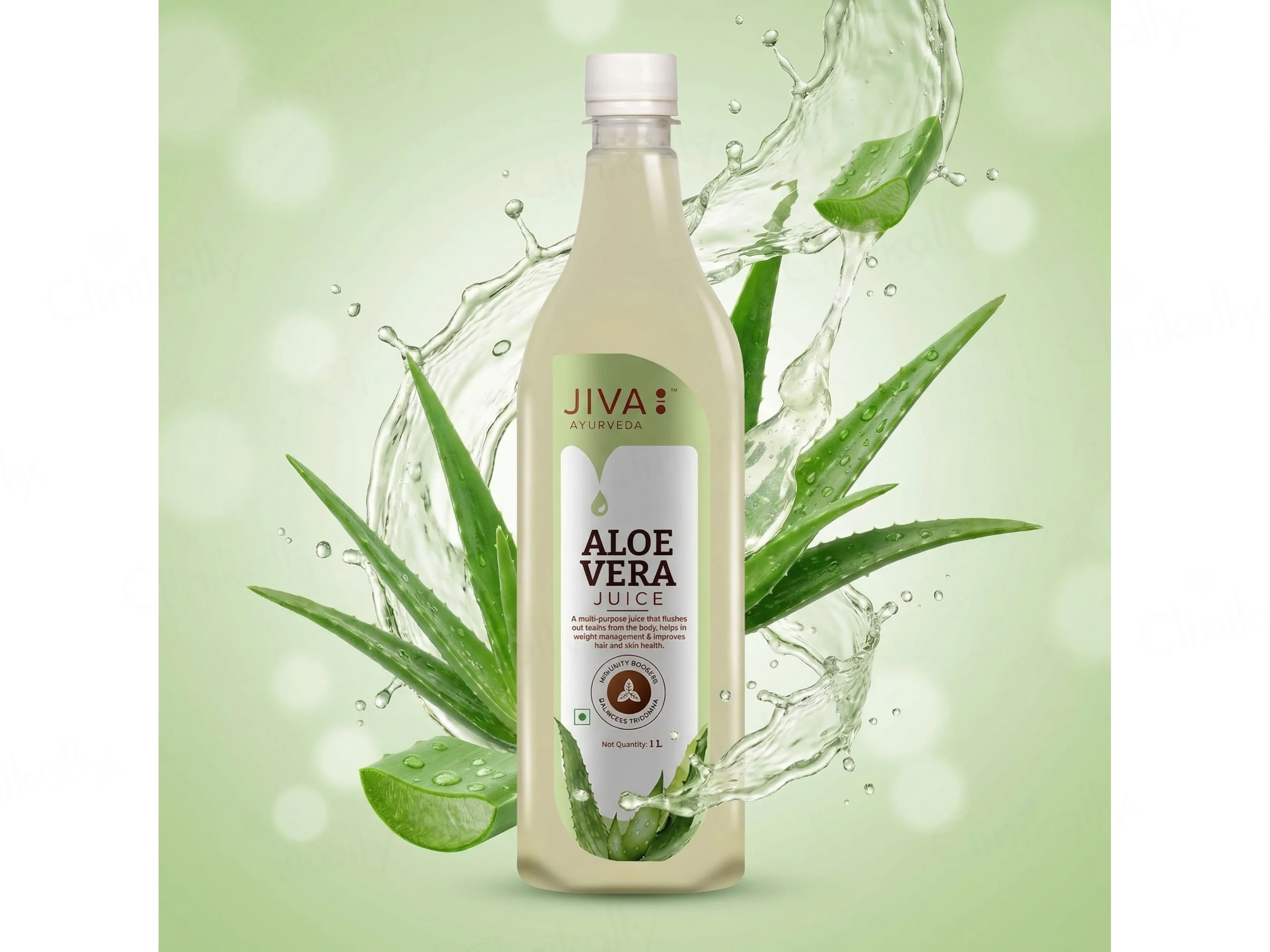 Jiva Ayurveda Aloevera Juice - Image 4