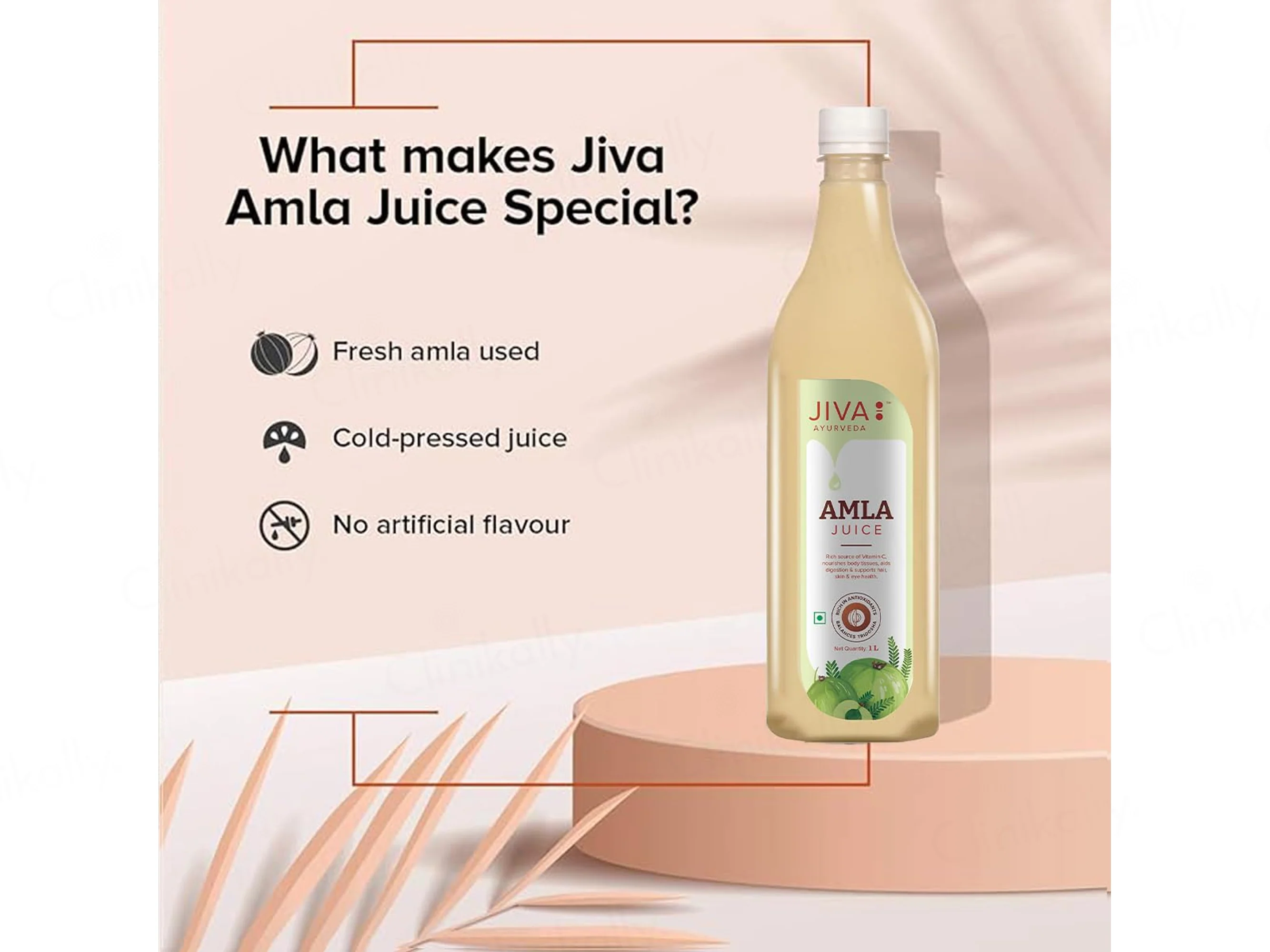 Jiva Ayurveda Amla Juice - Image 4