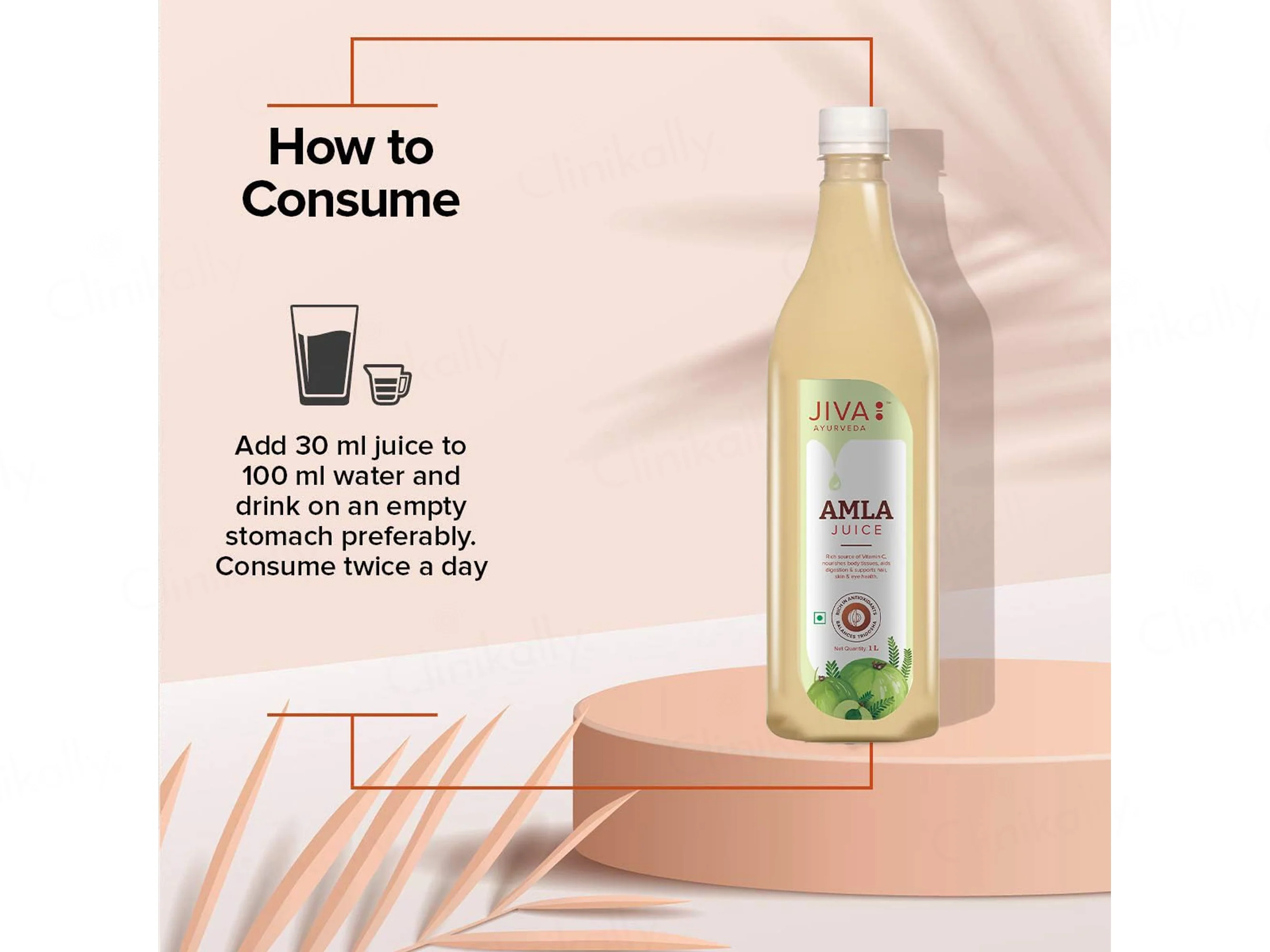 Jiva Ayurveda Amla Juice - Image 5