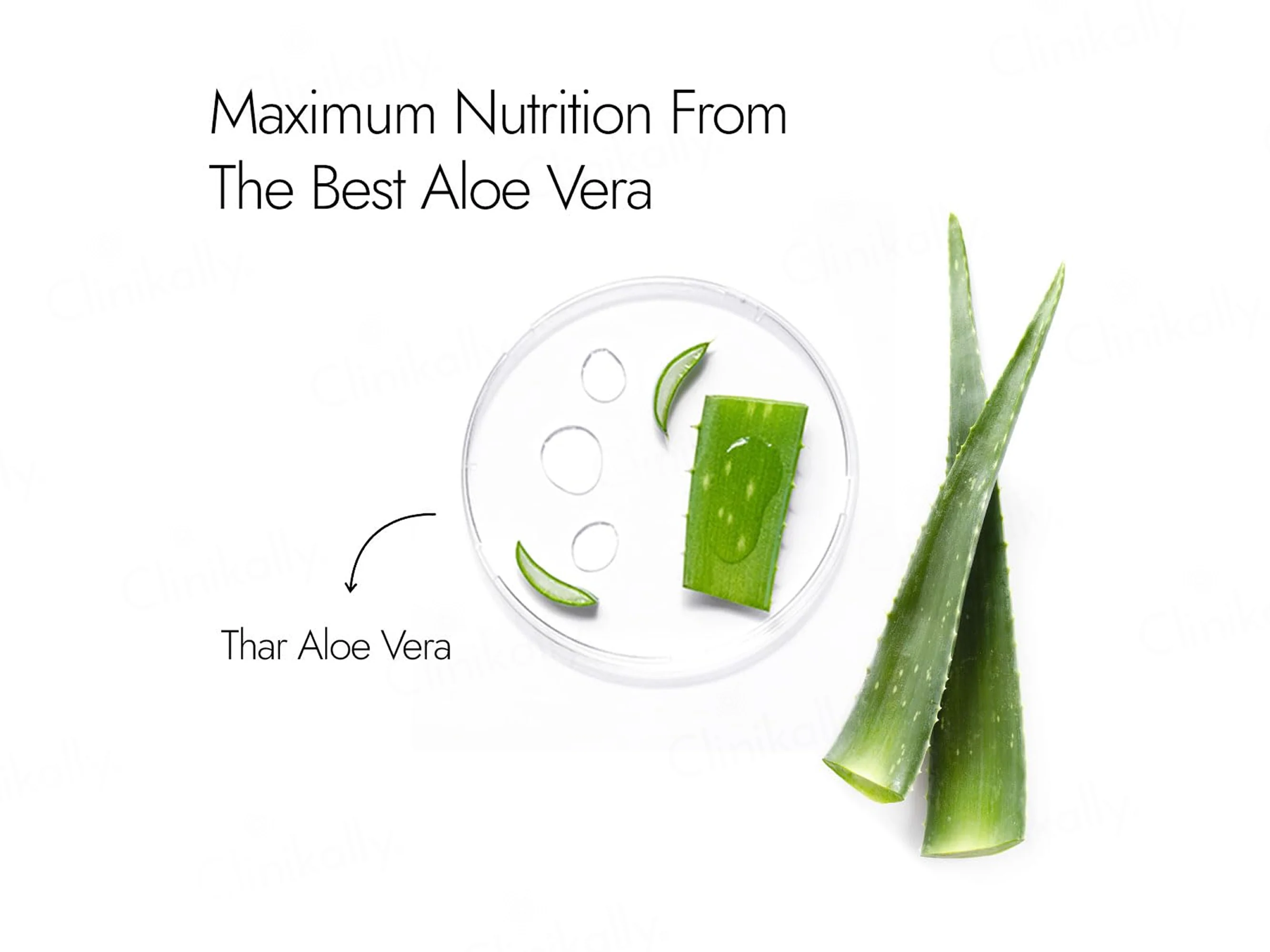Kapiva Aloe Vera Hydrating Gel - Image 4