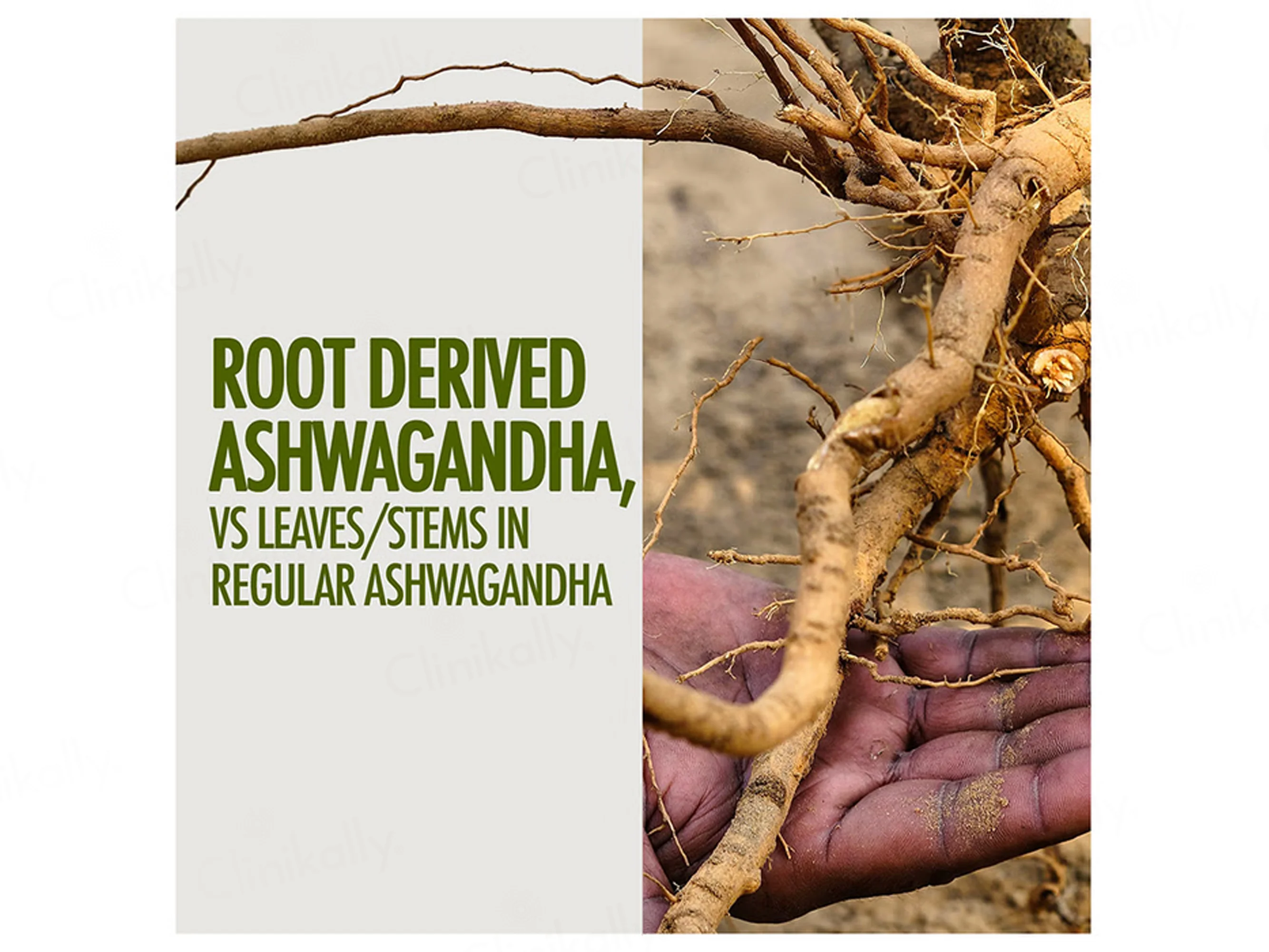 Kapiva Ashwagandha Gold Capsule For Stamina & Stress Management - Image 5