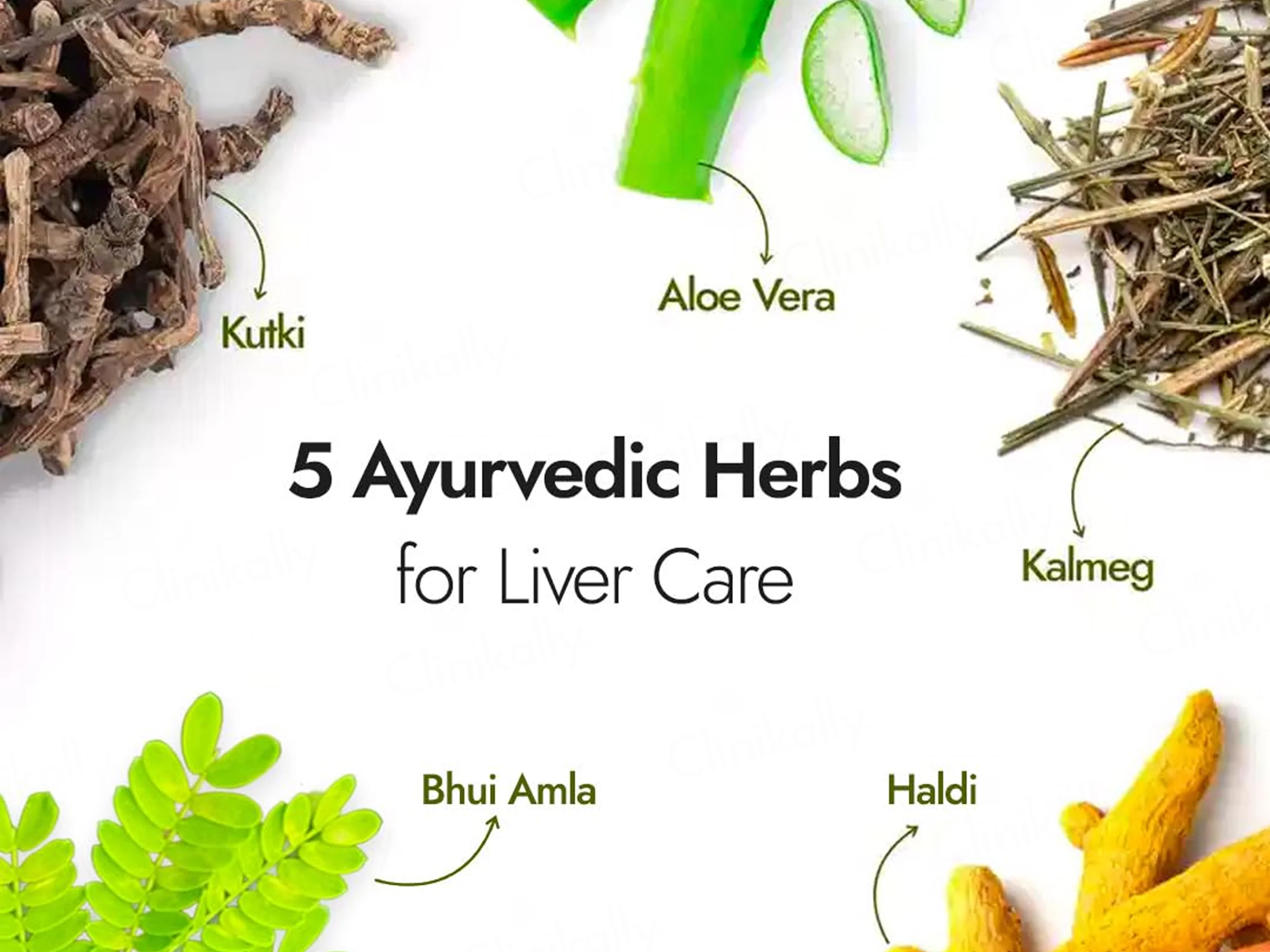 Kapiva Liver Care Juice - Image 3