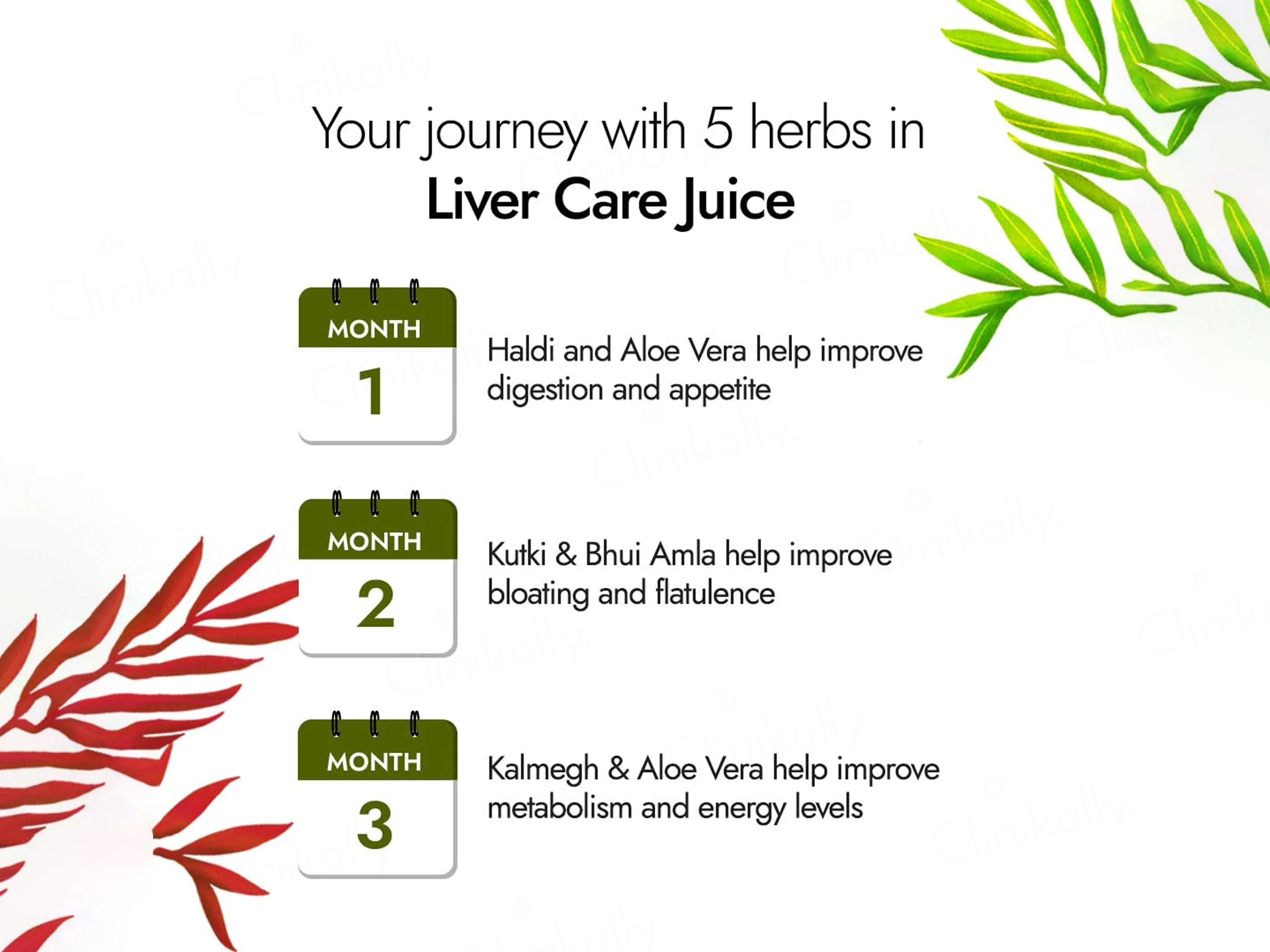 Kapiva Liver Care Juice - Image 6
