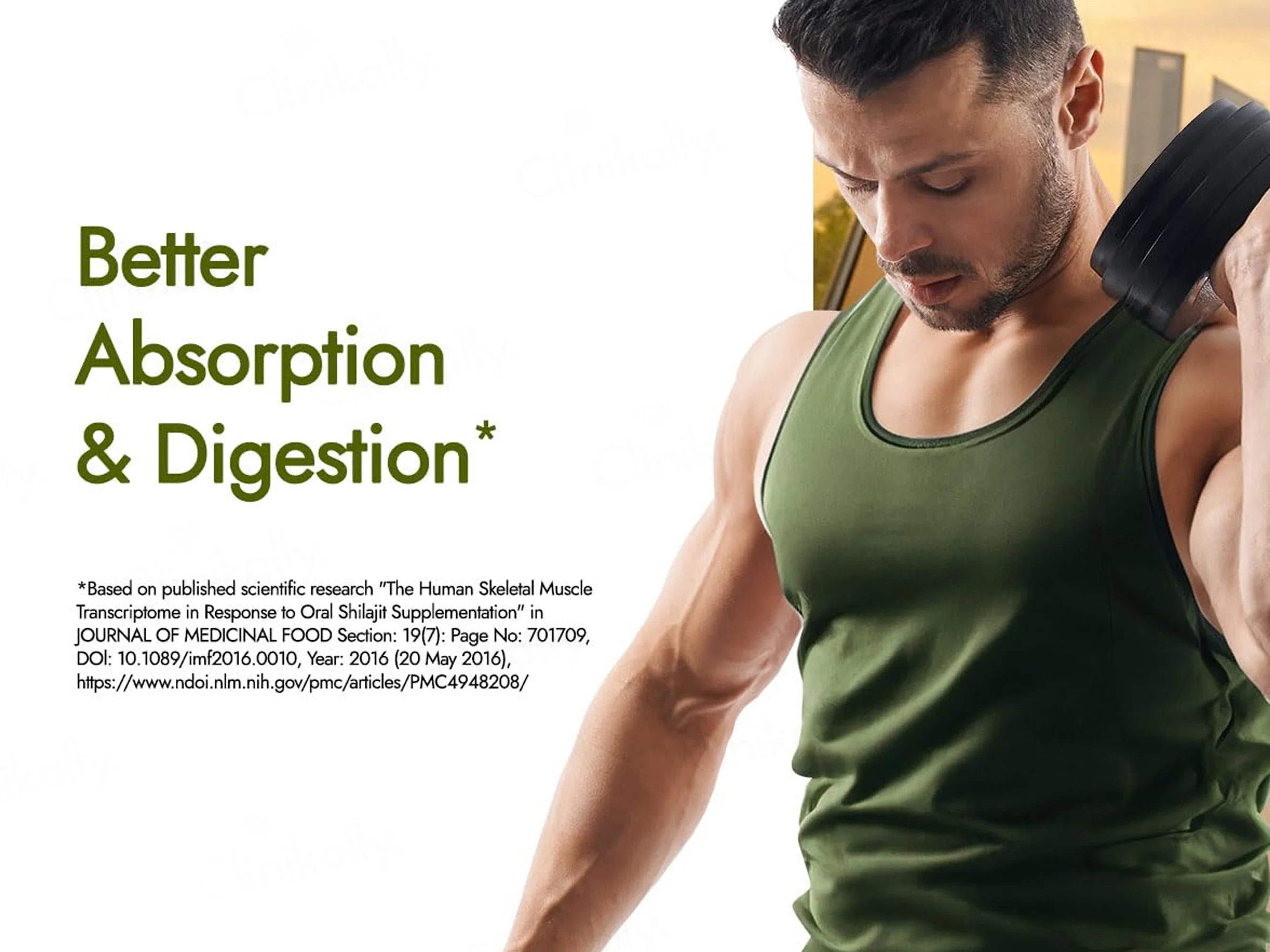 Kapiva Testofuel Shilajit Whey Protein Powder - Image 5