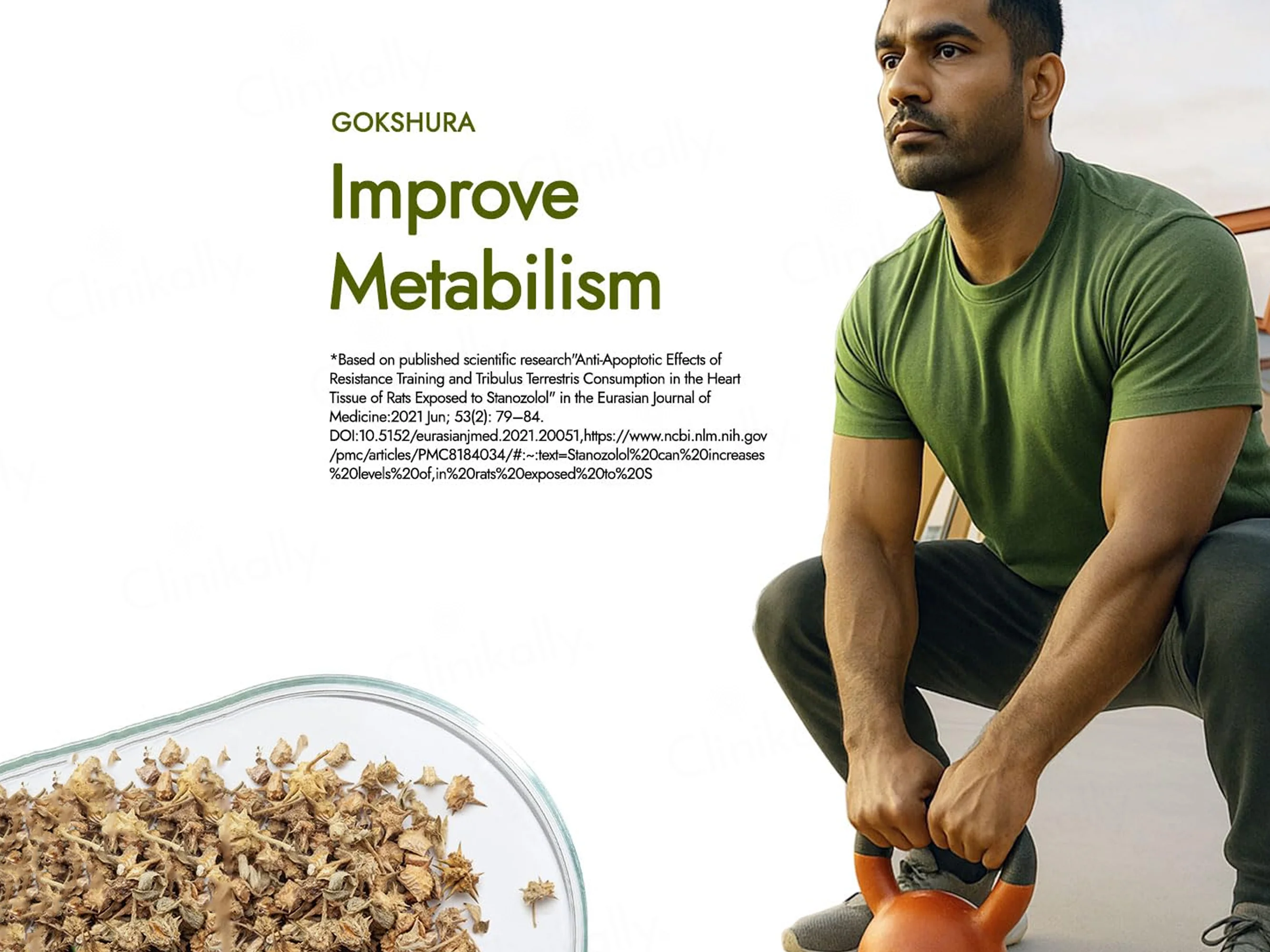 Kapiva Testofuel Shilajit Whey Protein Powder - Image 8