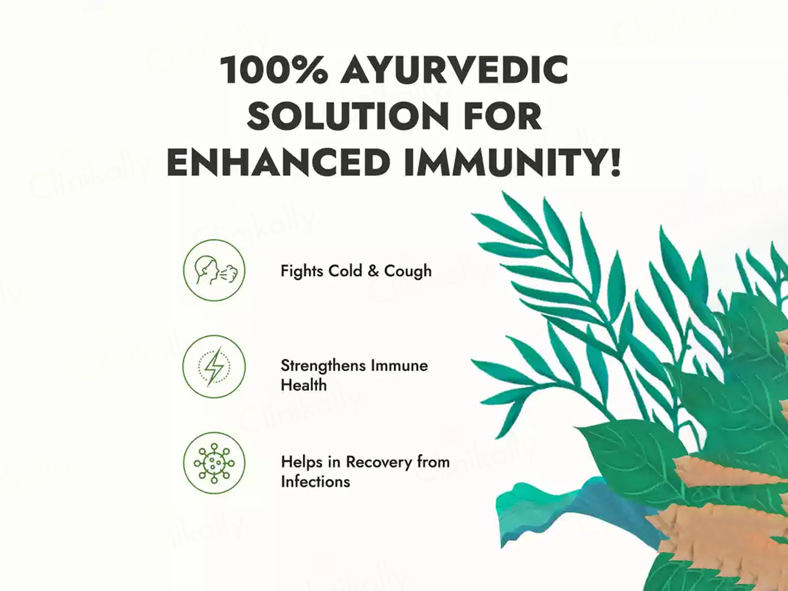 Kapiva Tulsi Giloy Immunity Booster Juice - Image 5