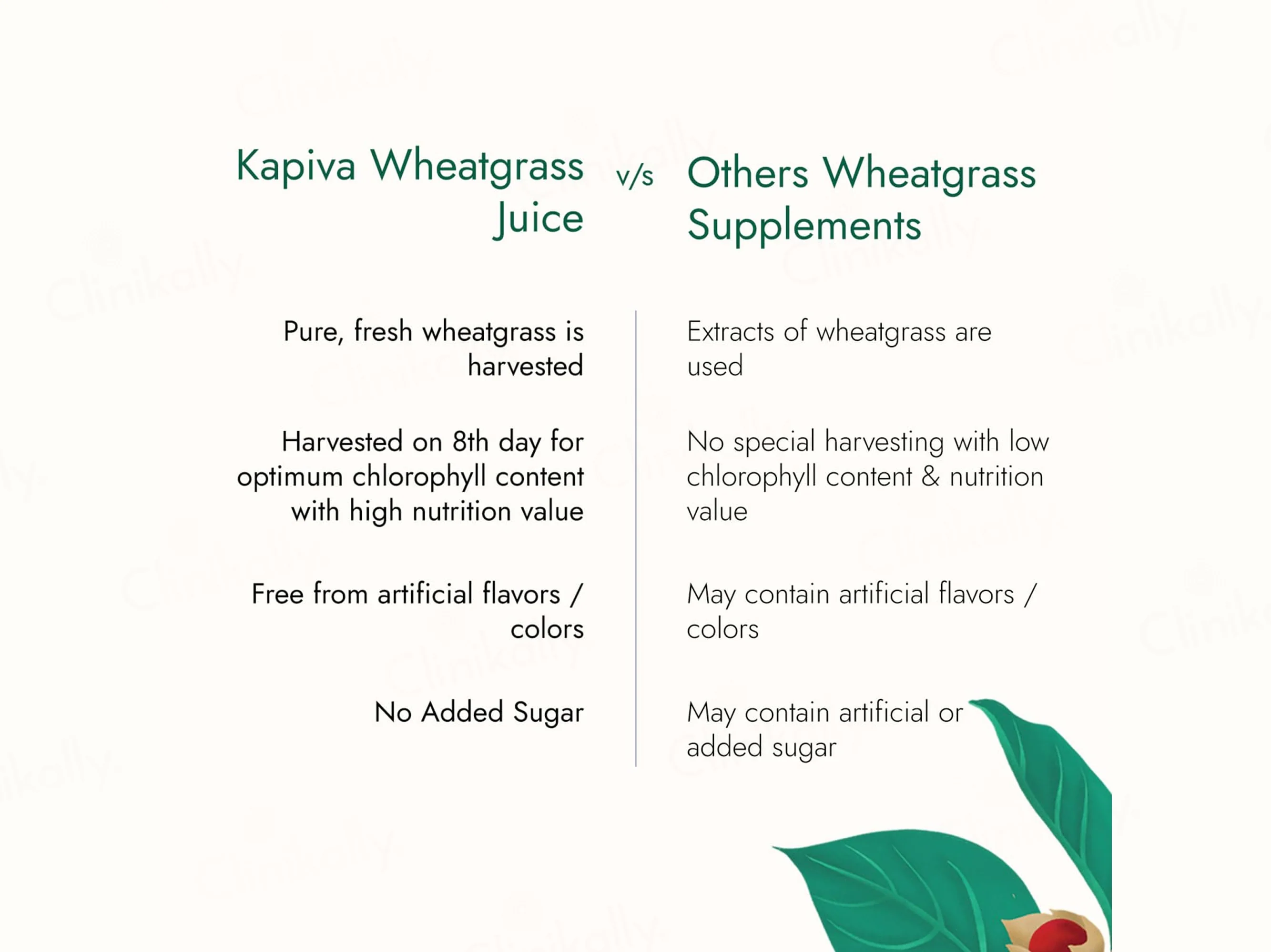 Kapiva Wheatgrass Juice For Daily Detoxification - Image 3