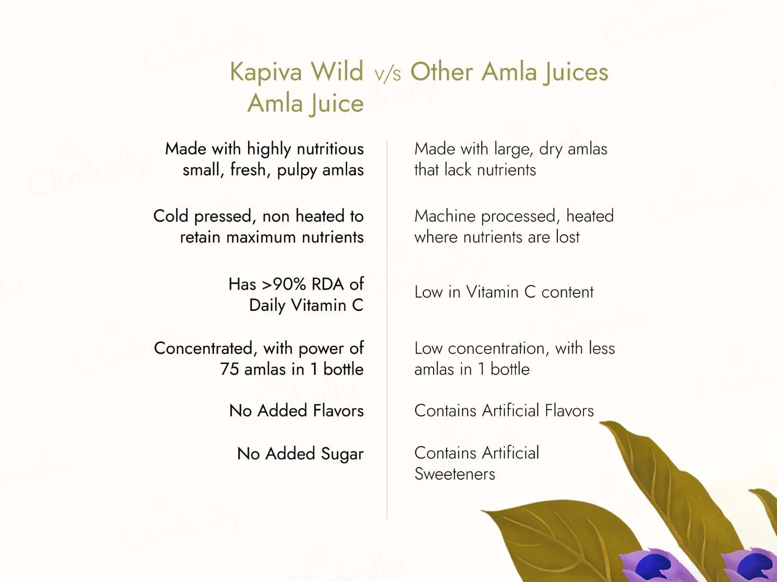 Kapiva Wild Amla Juice For Hair Health - Image 6