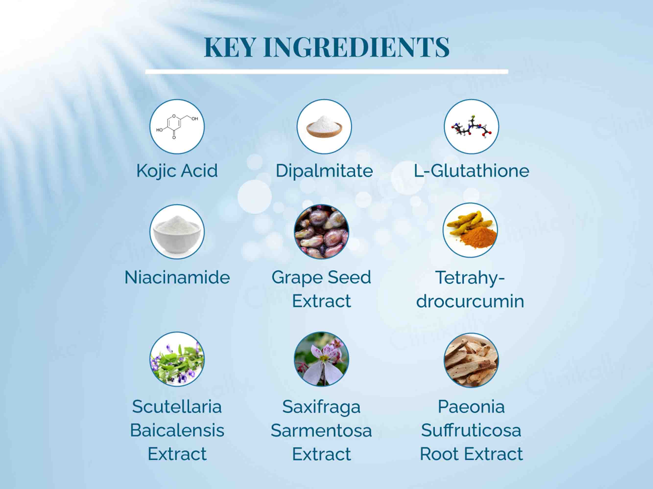 Kojiska Skin Brightening and Radiant Cream - Image 5