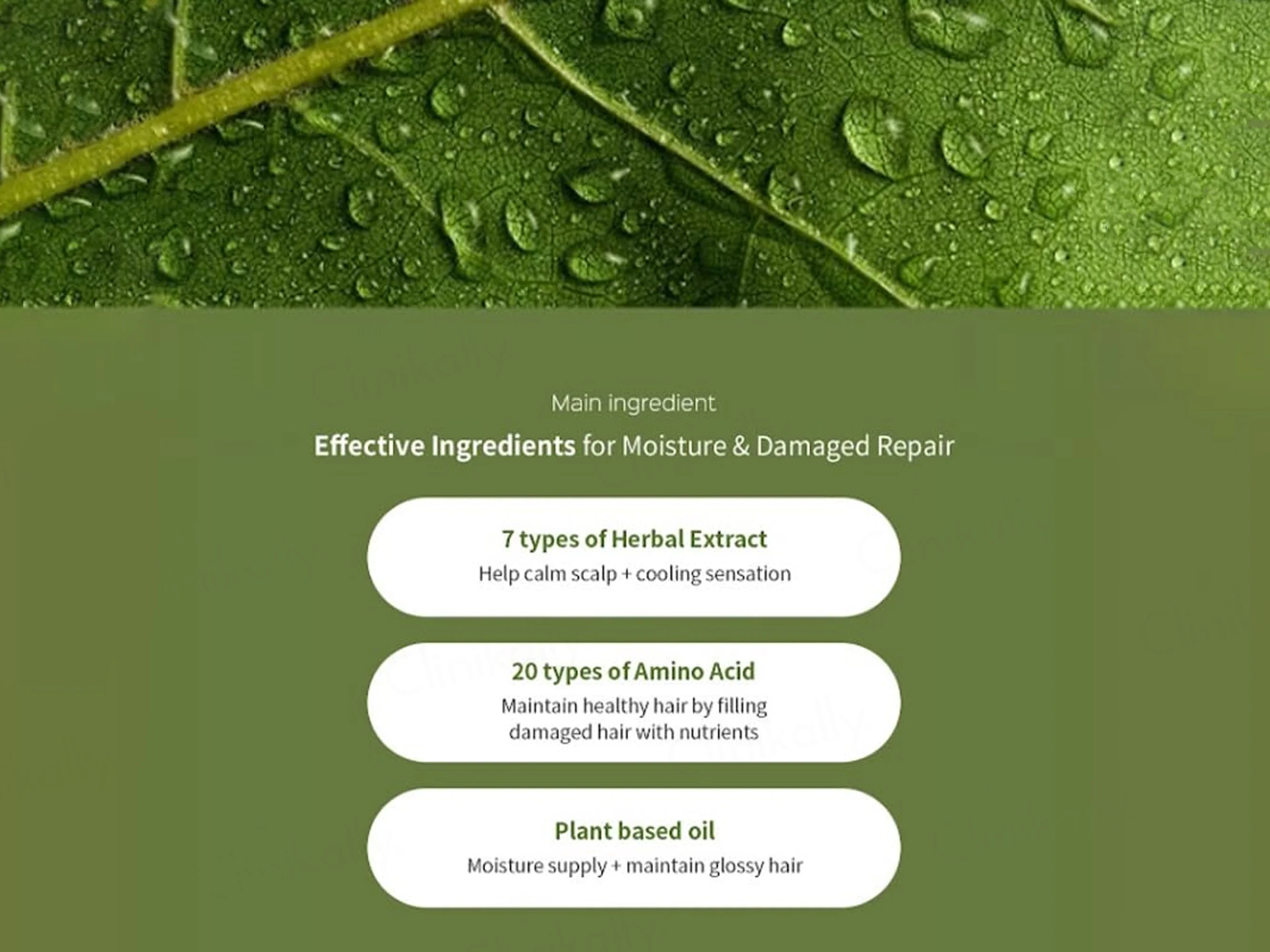Lador Herbalism Scalp & Hair Nourishment Treatment - Image 6