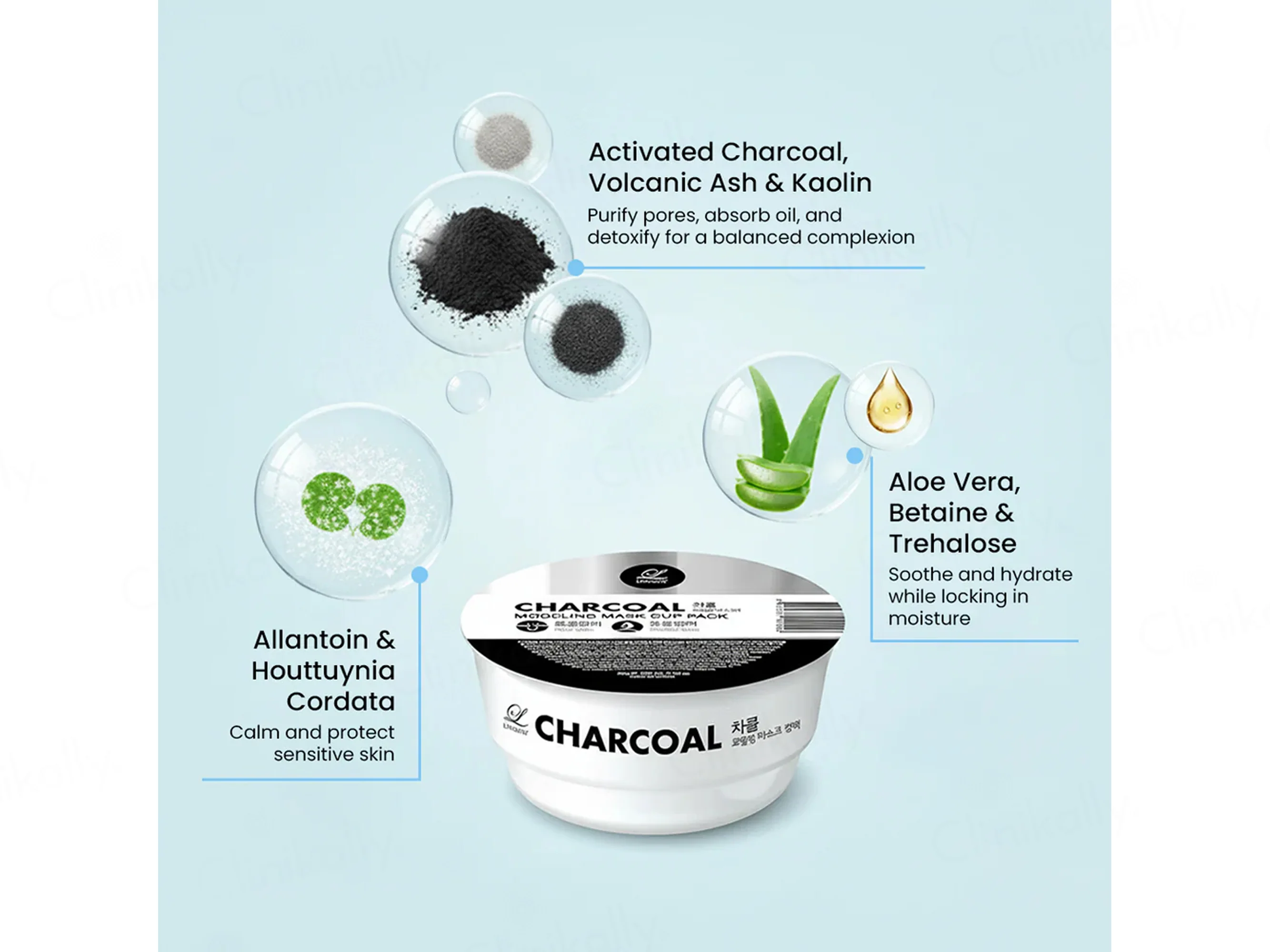 Lindsay Charcoal Modeling Mask Cup Pack - Image 4