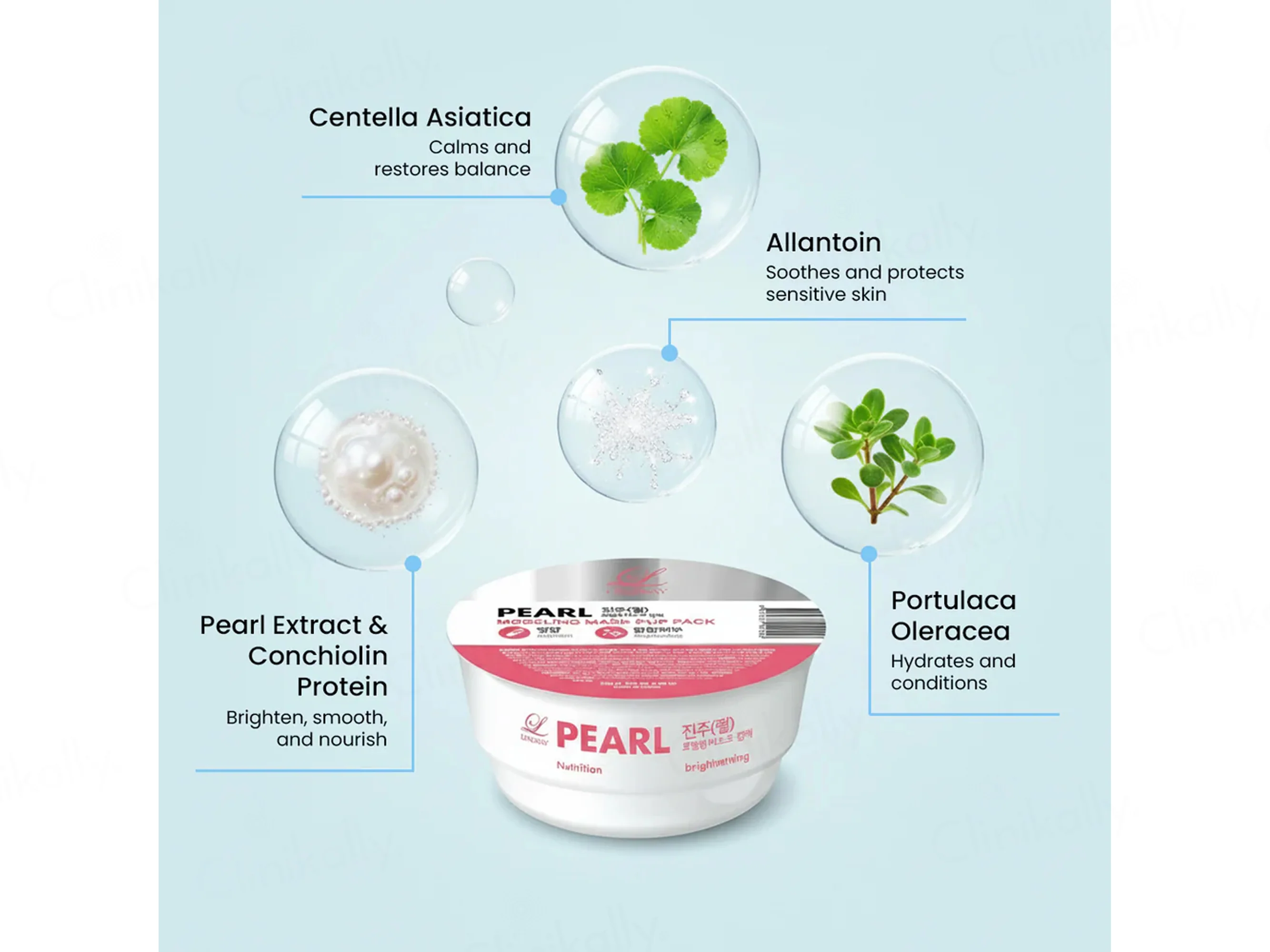 Lindsay Pearl Modeling Mask Cup Pack - Image 4
