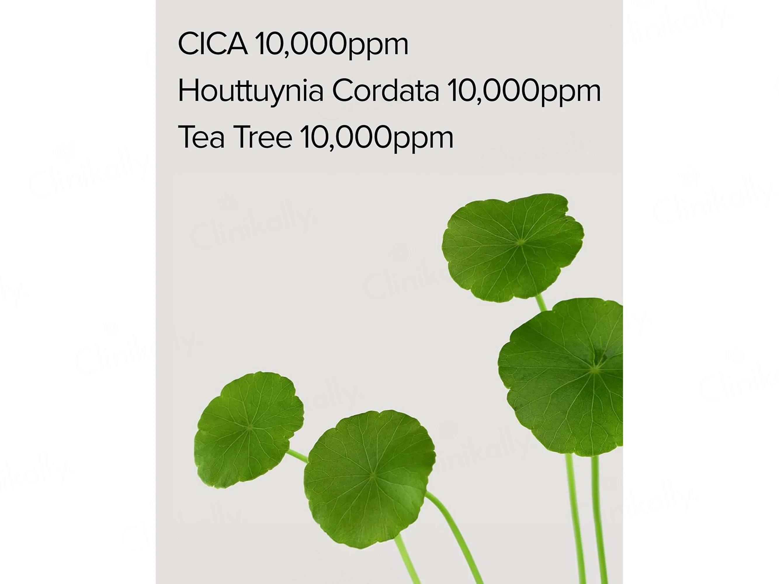 Mary&May Cica Houttuynia Tea Tree Calming Daily Sheet Mask - Image 5