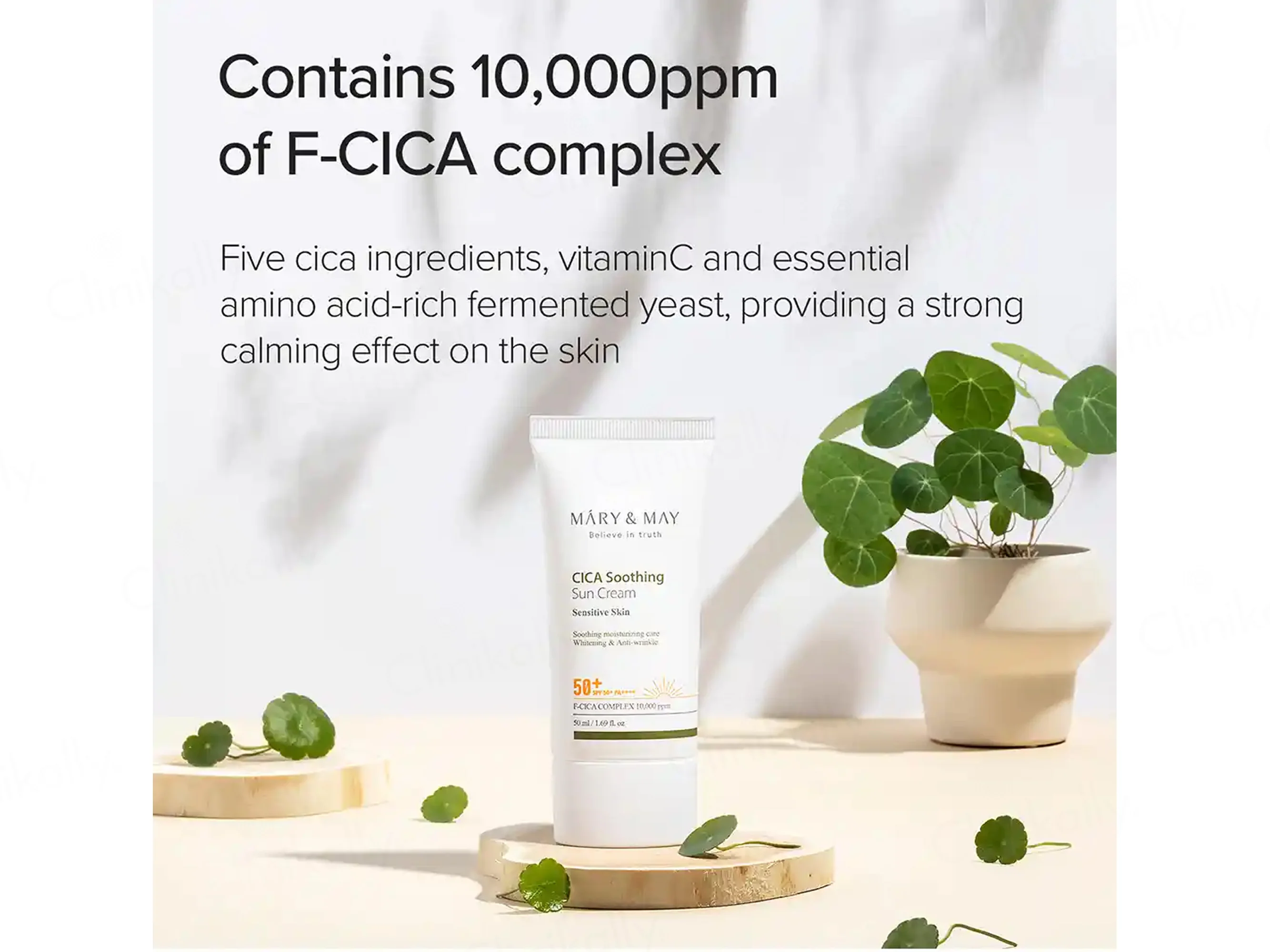 Mary&May Vegan Cica Soothing Sun Cream SPF 50+ PA++++ - Image 3