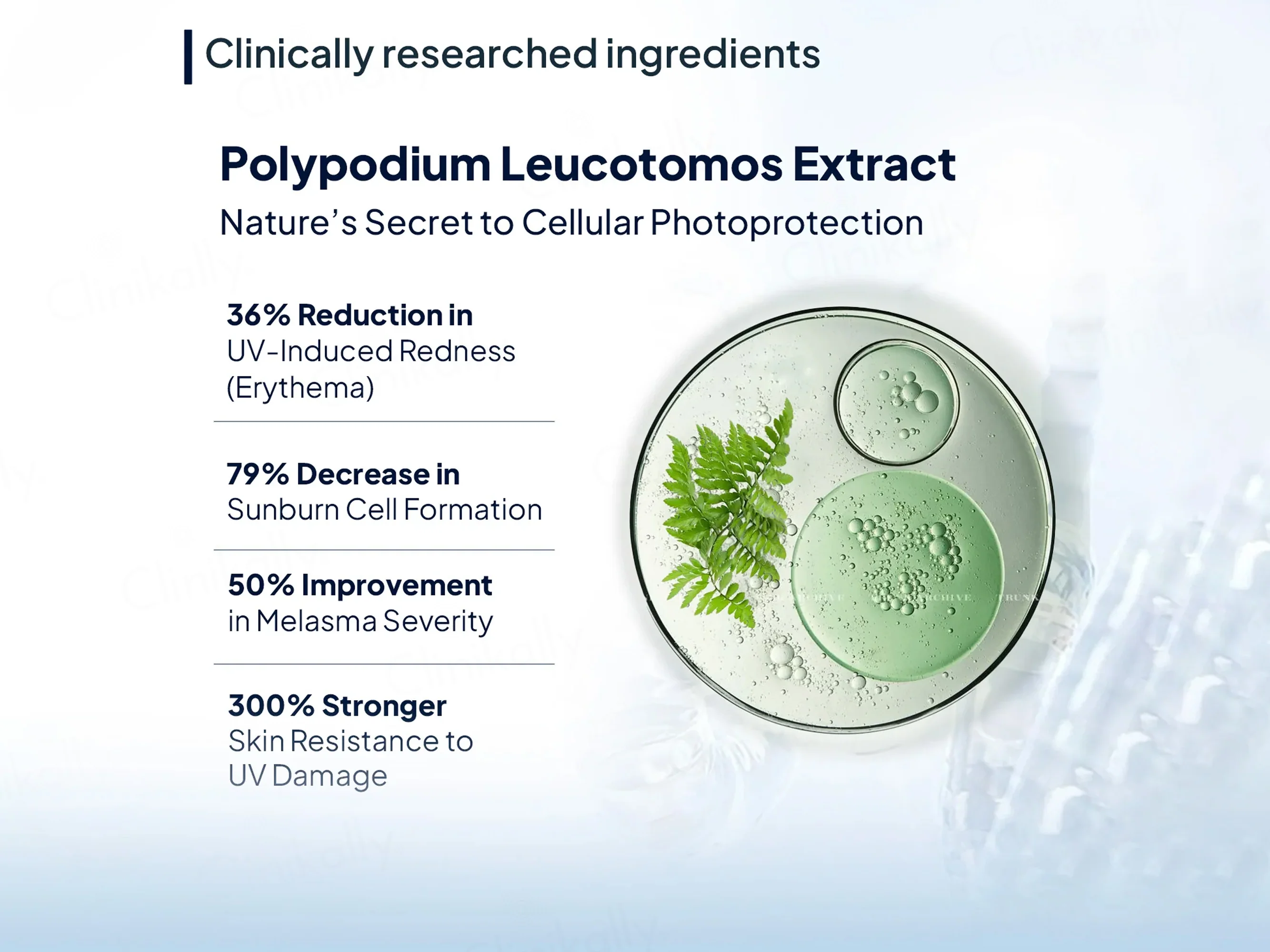 Miduty Pigment Clear+ Nutraceutical Capsule - Image 2