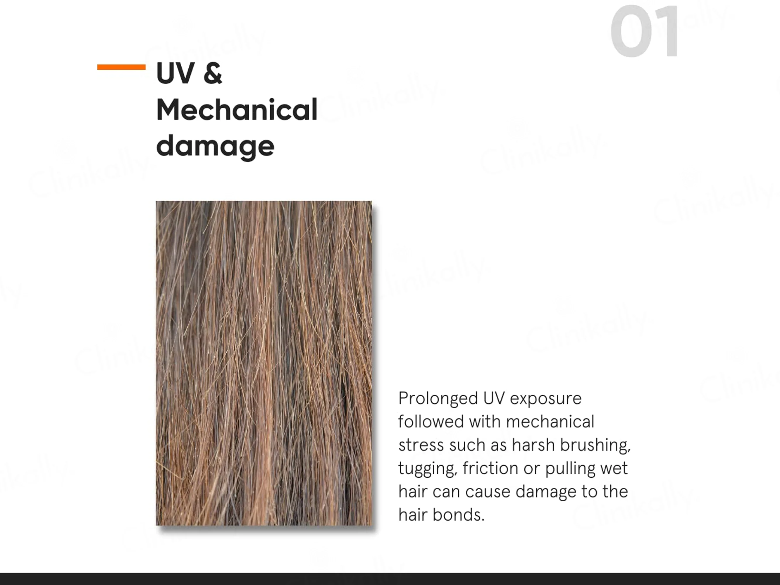 Minimalist 5% Maleic Bond Repair Complex Hair Serum - Image 3