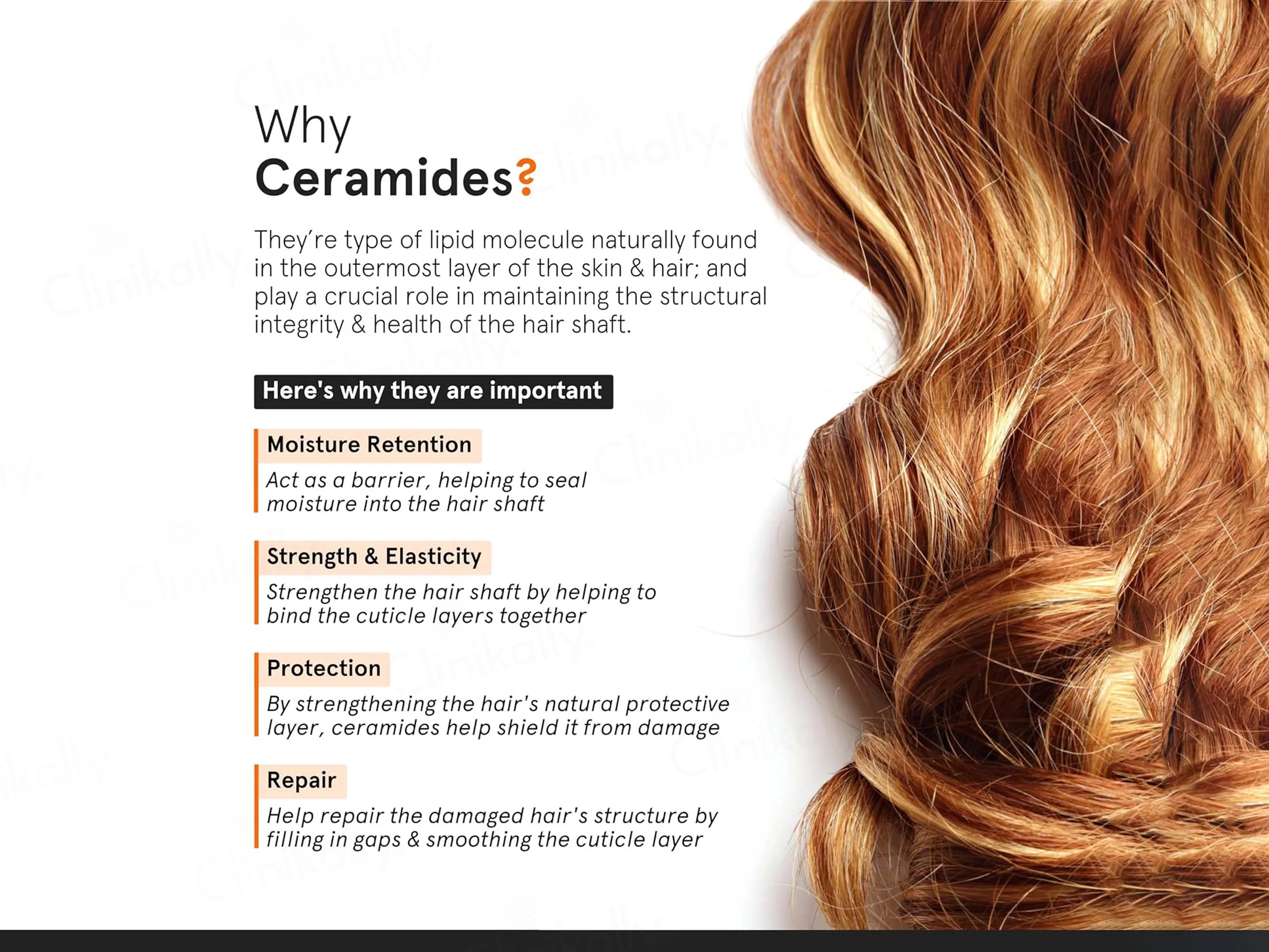 Minimalist Frizz Control Complex Hair Serum SPF 30 - Image 3