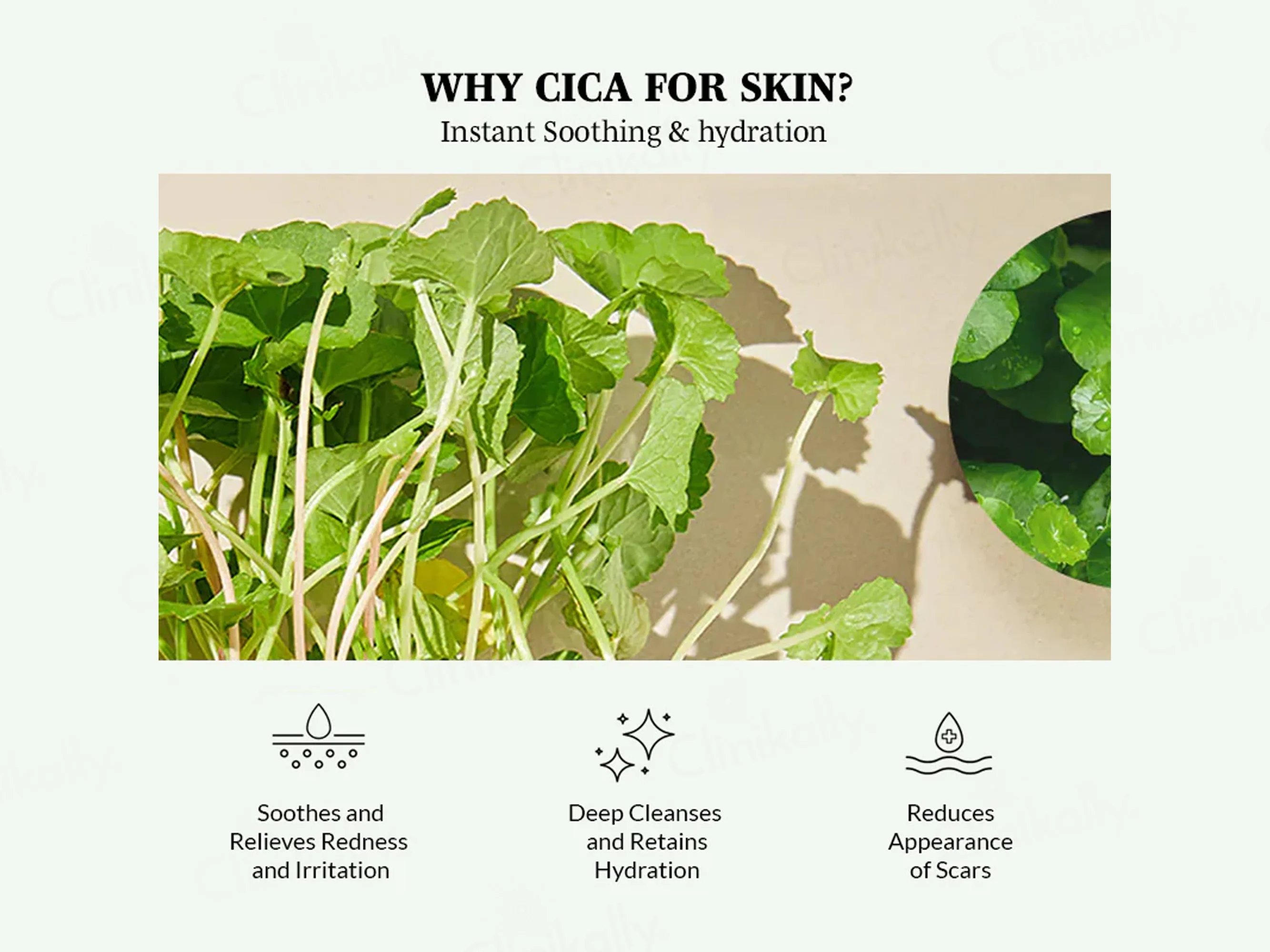 Mixsoon Centella Toner Pads - Image 7