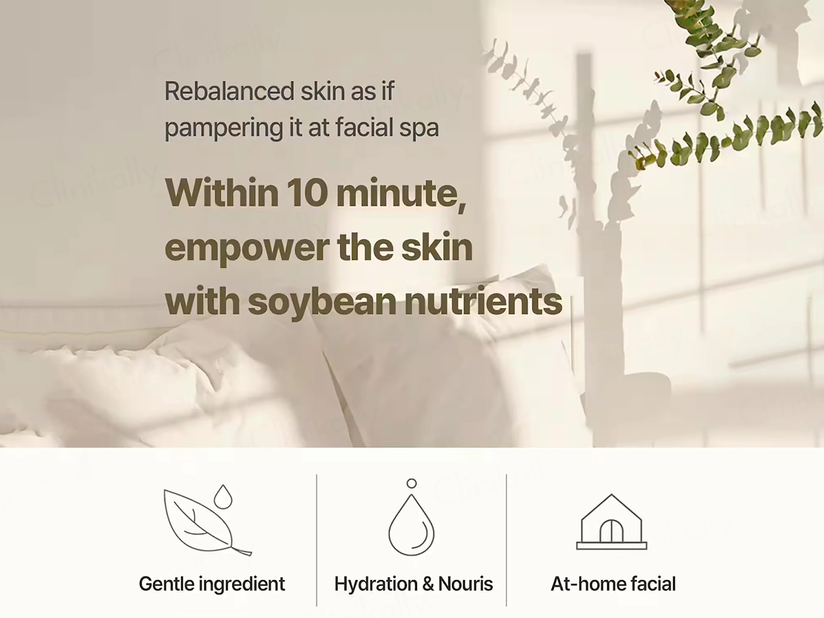 Mixsoon Soybean Milk Pad Sheet Mask - Image 4