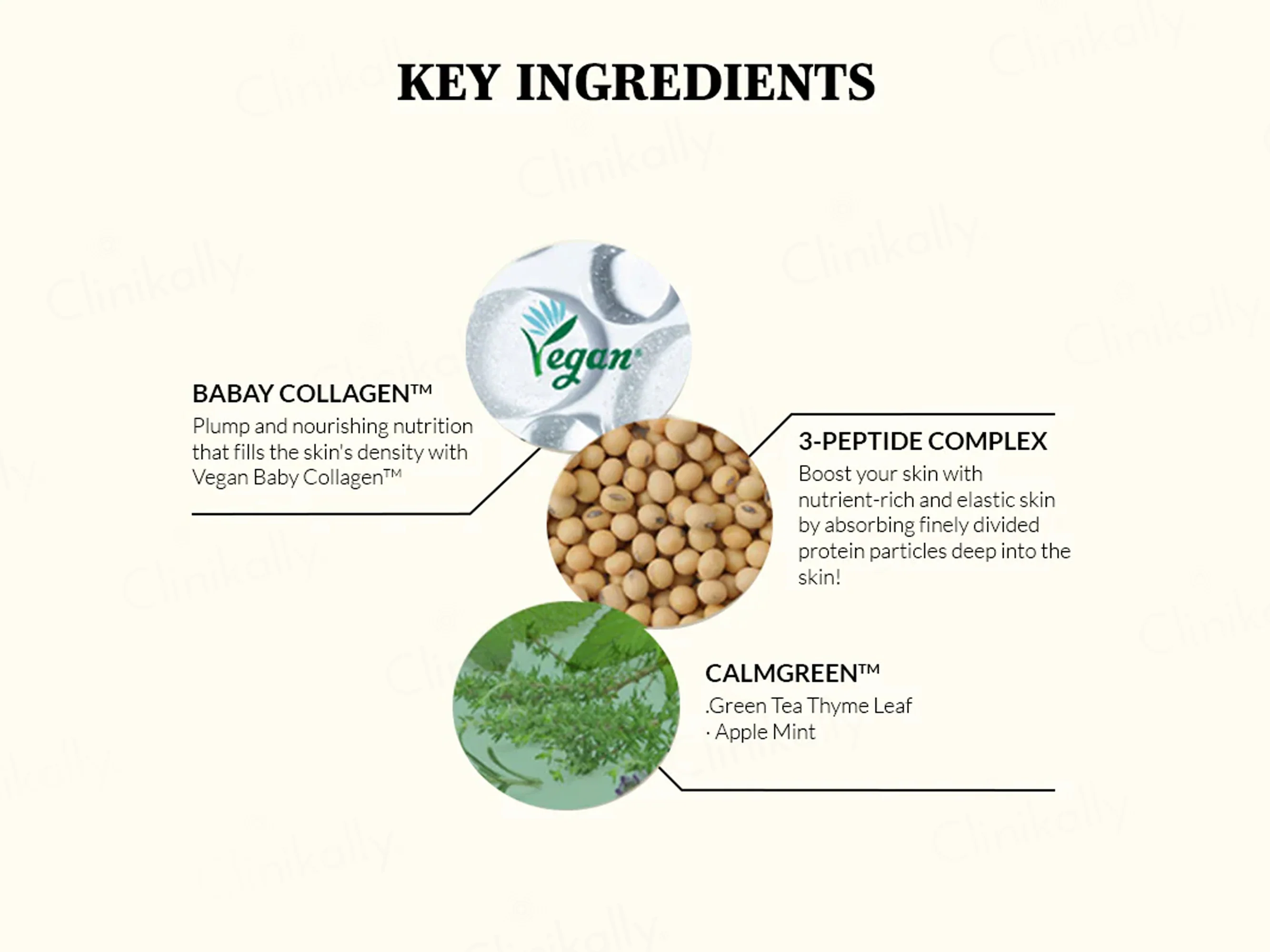 Mixsoon Soybean Milk Serum - Image 6