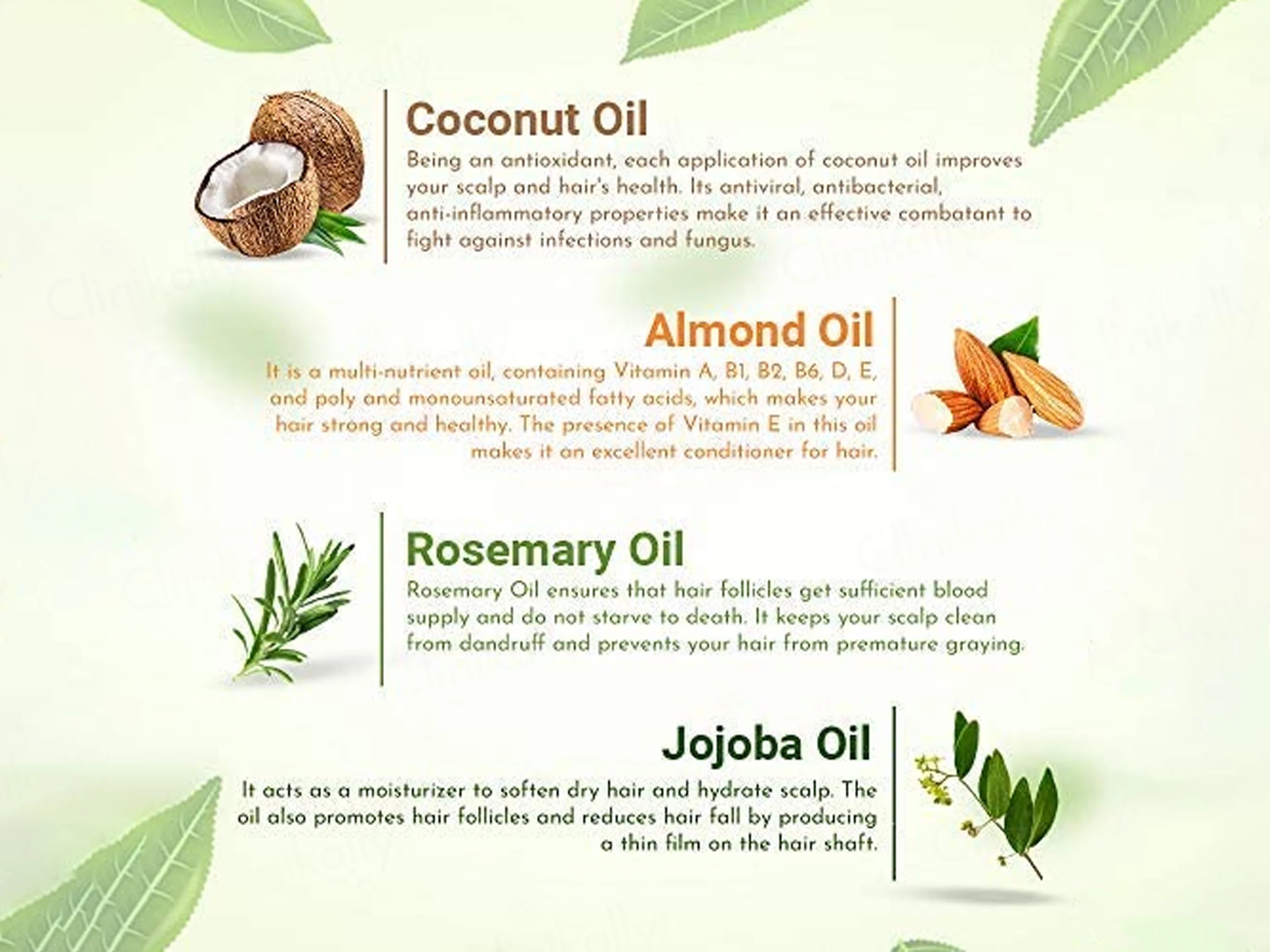 Moha: 5 In 1 Hair Oil - Image 4