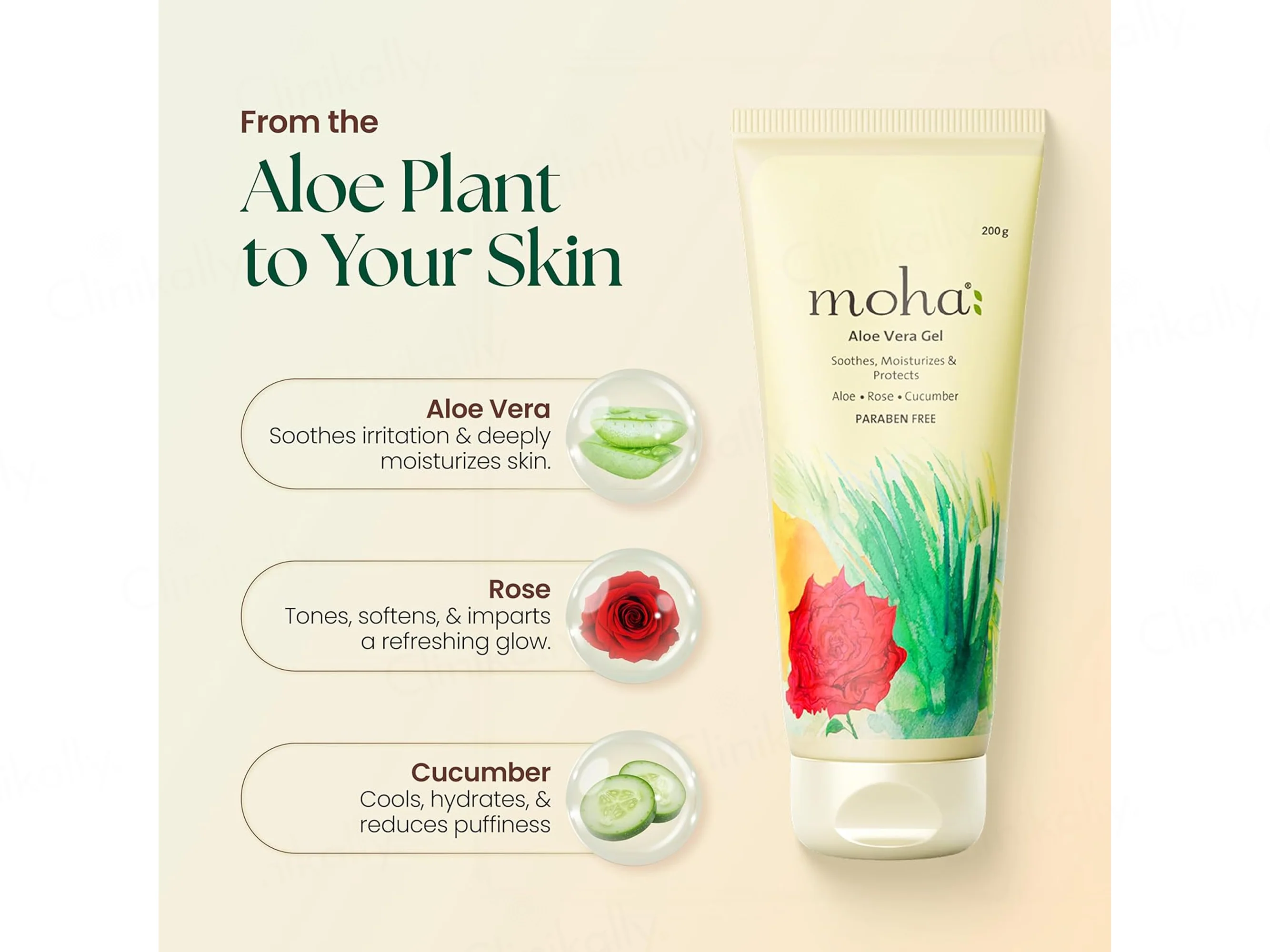 Moha: Aloe Vera Gel - Image 4
