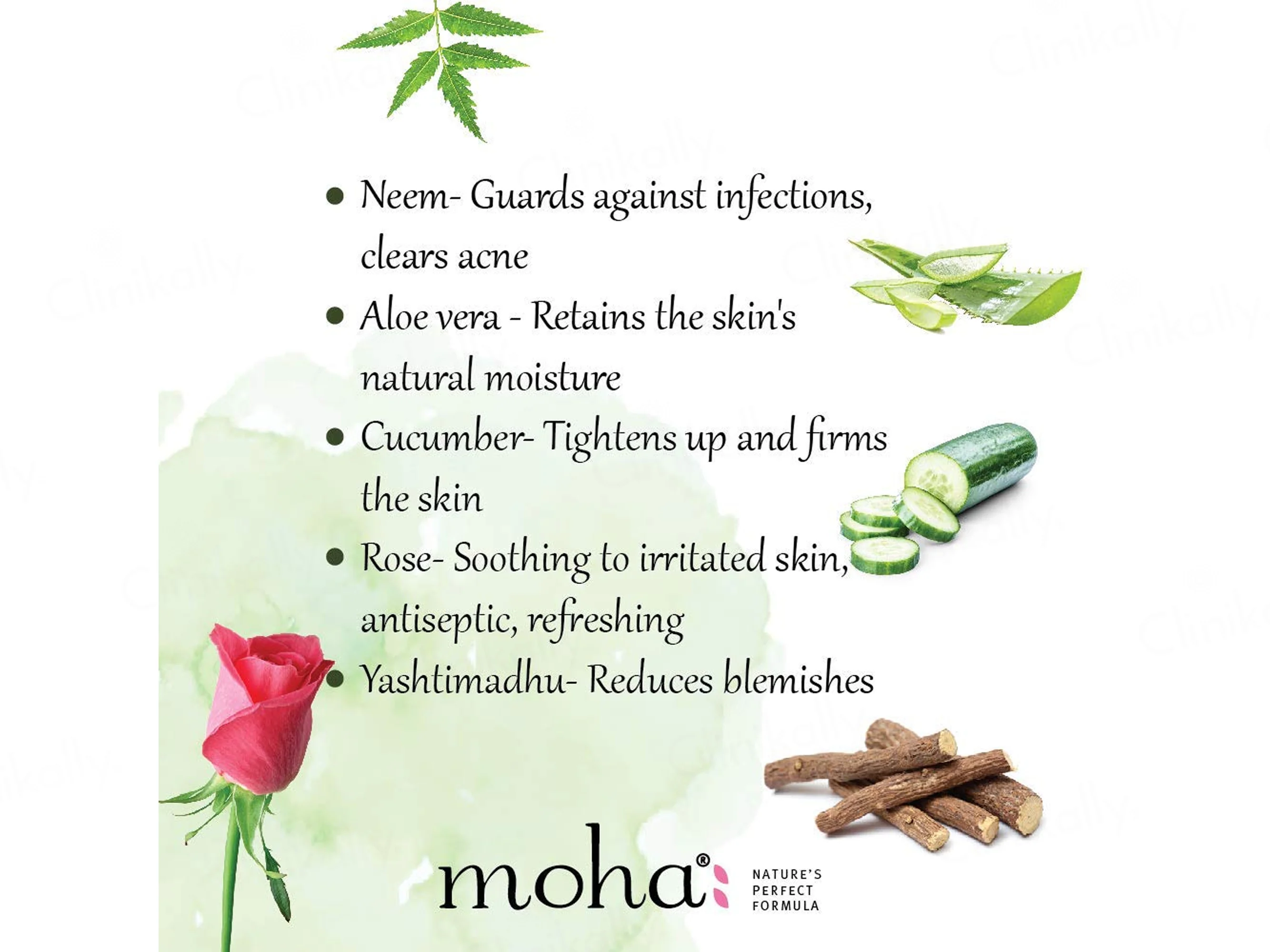 Moha: Herbal Face Wash - Image 11