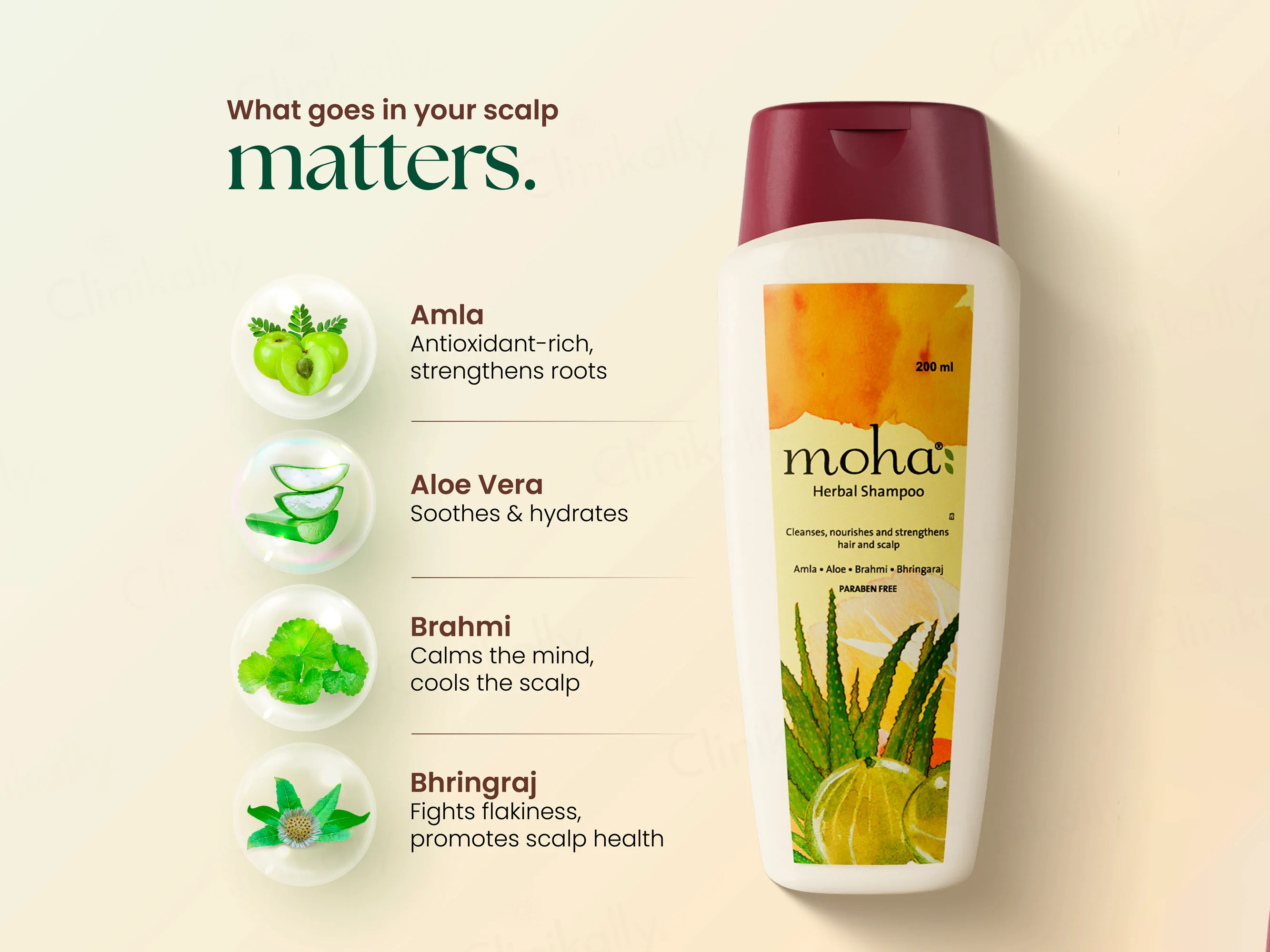 Moha: Herbal Shampoo - Image 7