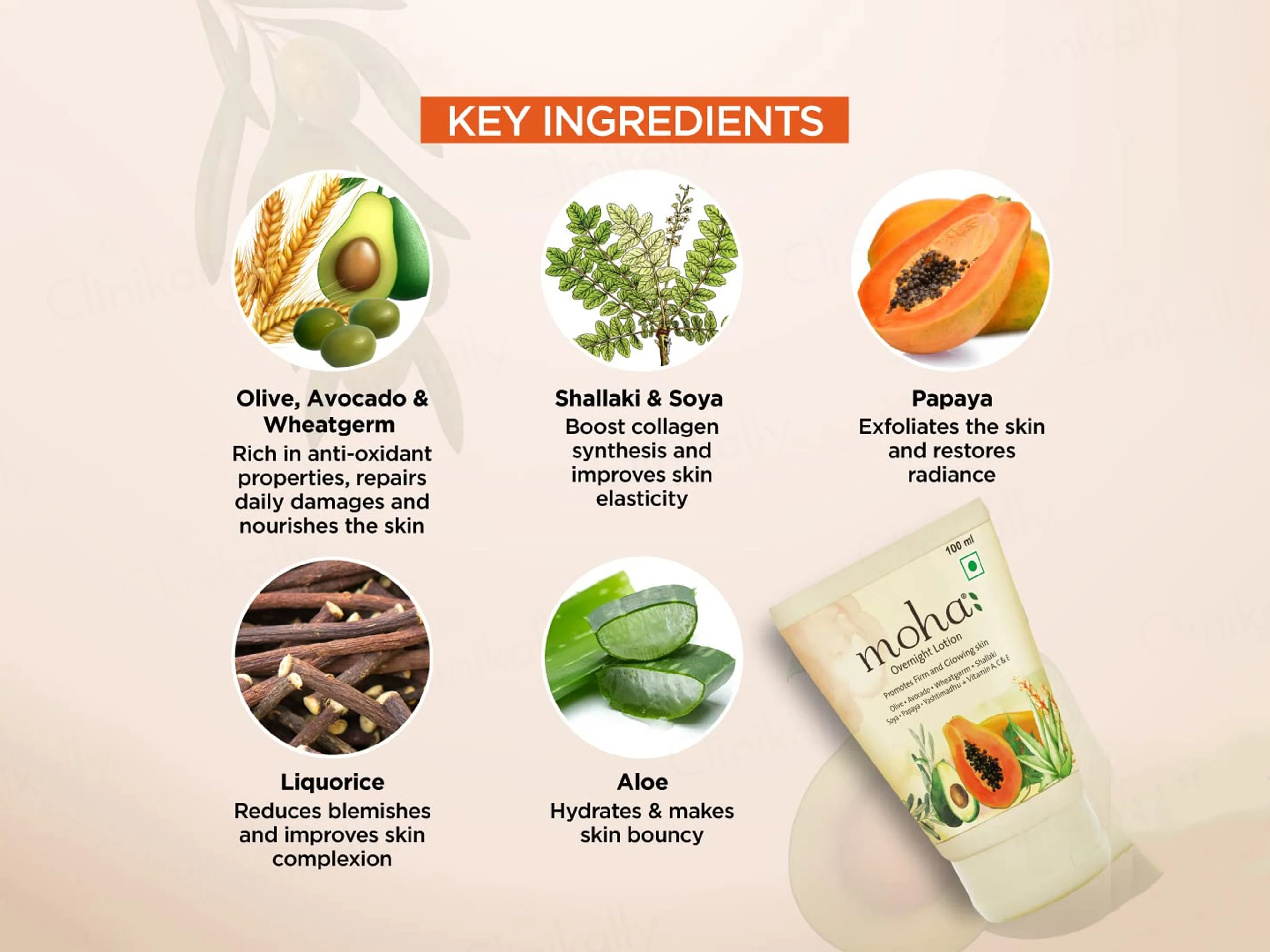 Moha: Overnight Firming & Glowing Skin Lotion - Image 5