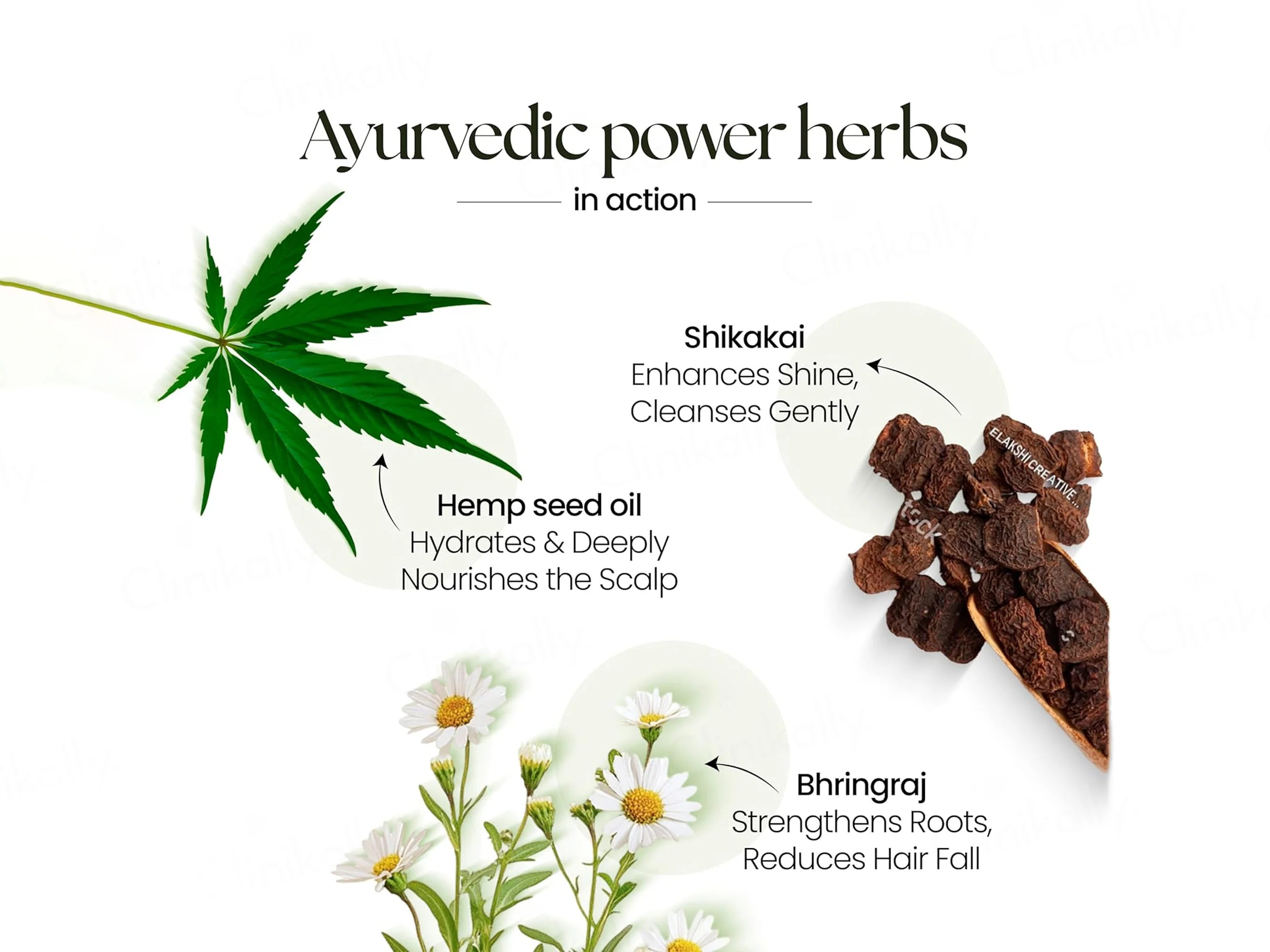 Moha: Shikakai & Bhringraj Anti Hair Fall Shampoo - Image 5