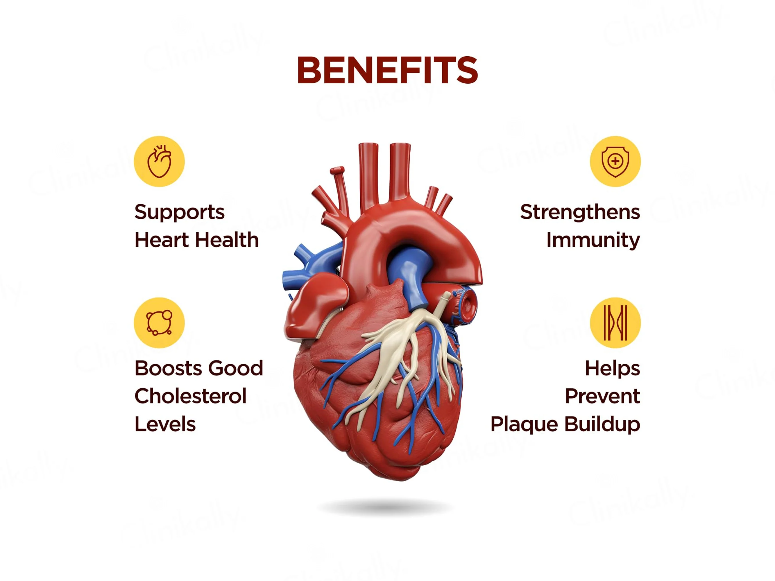NatXtra Curqmeg-3 Cardiac Health Supplement Capsule - Image 2