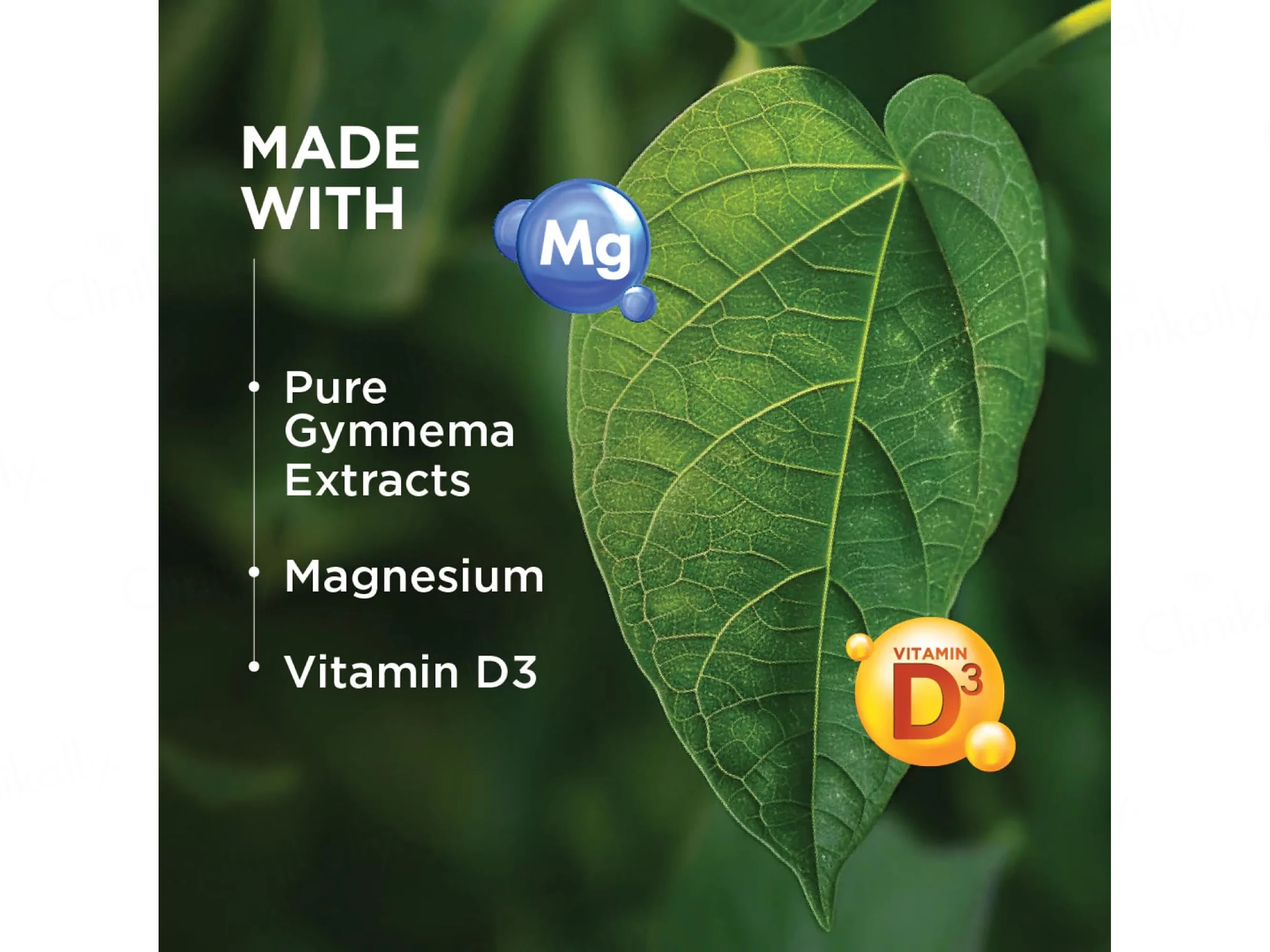 NatXtra Gymne-Mag D Blood Sugar Control Nutraceutical Capsule - Image 3